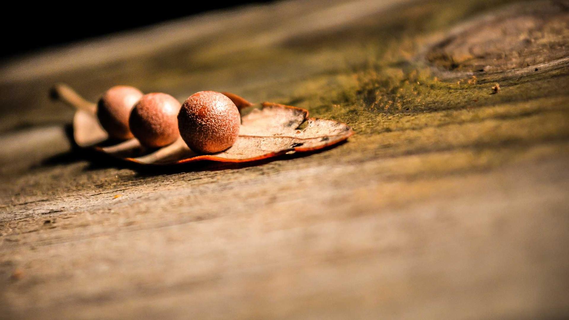 Random image from Lorem Picsum