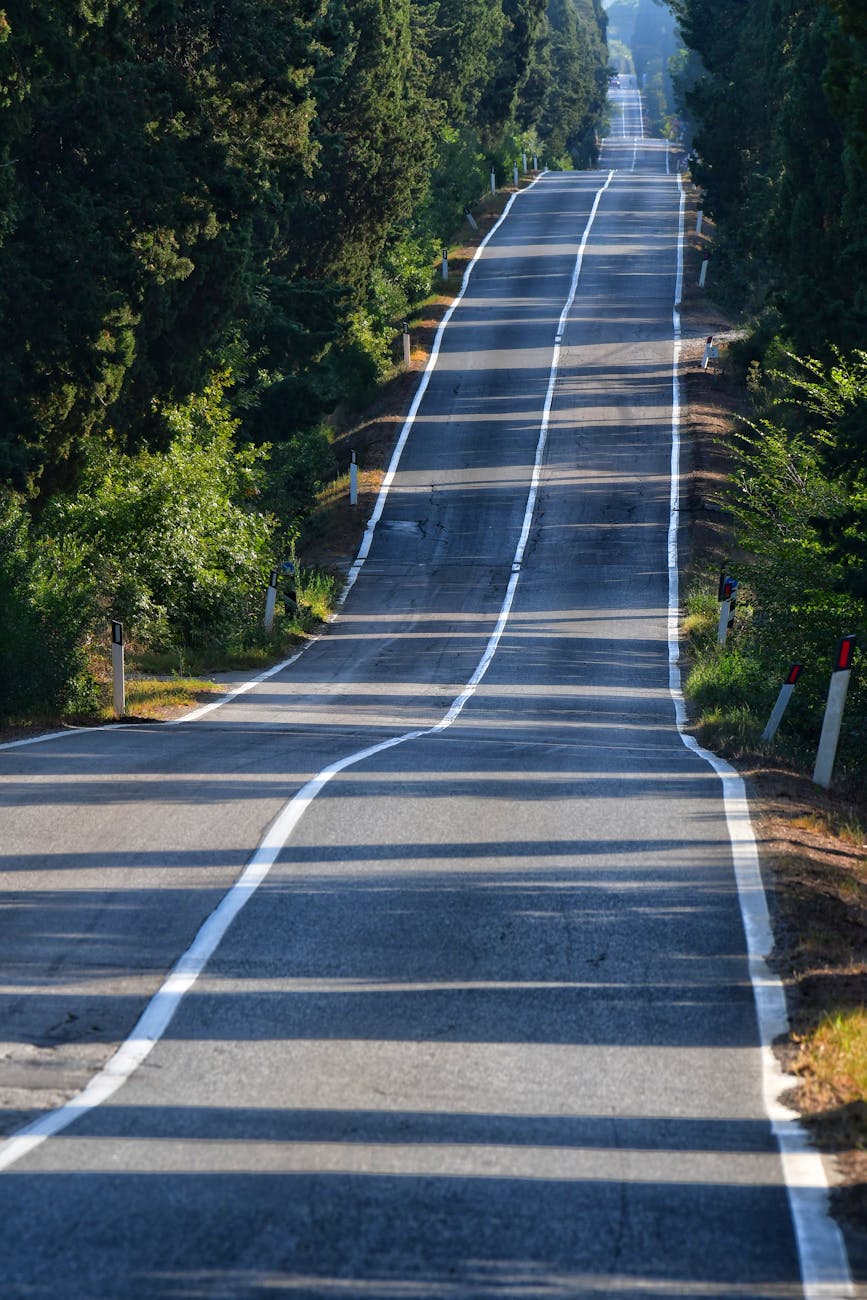 A scenic asphalt road winding through lush green forest captured in summer.