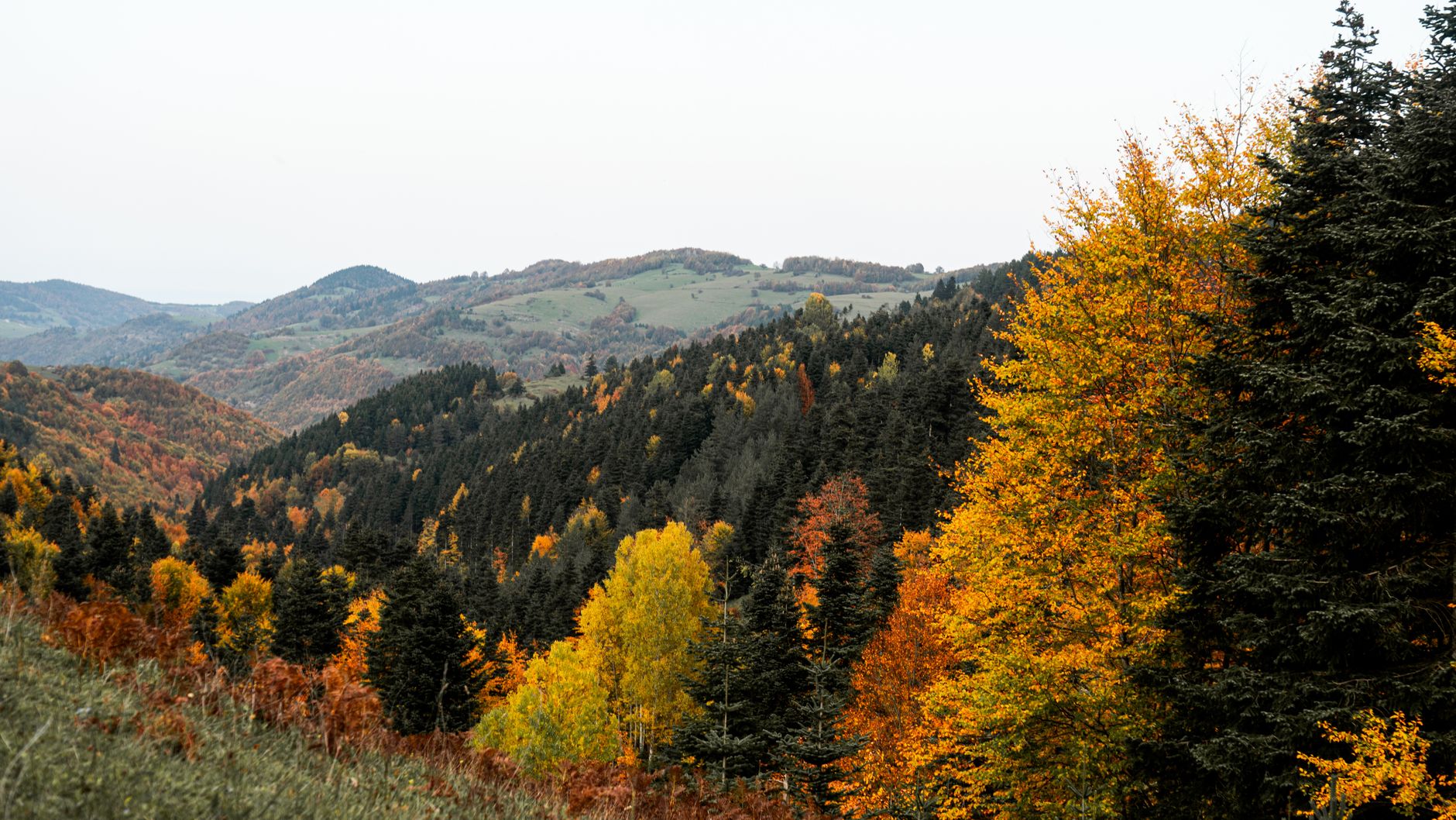Explore the beauty of autumn with vibrant foliage covering rolling hills.
