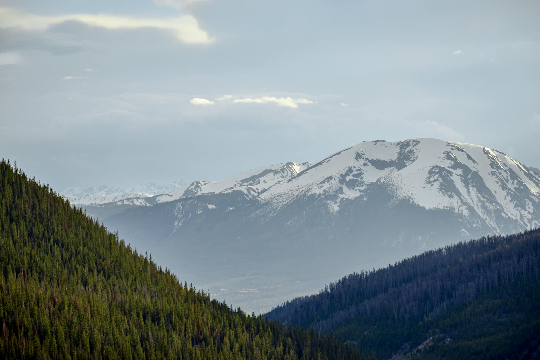 Stunning view of snow-capped Rocky Mountains and lush conifer forests in Colorado.