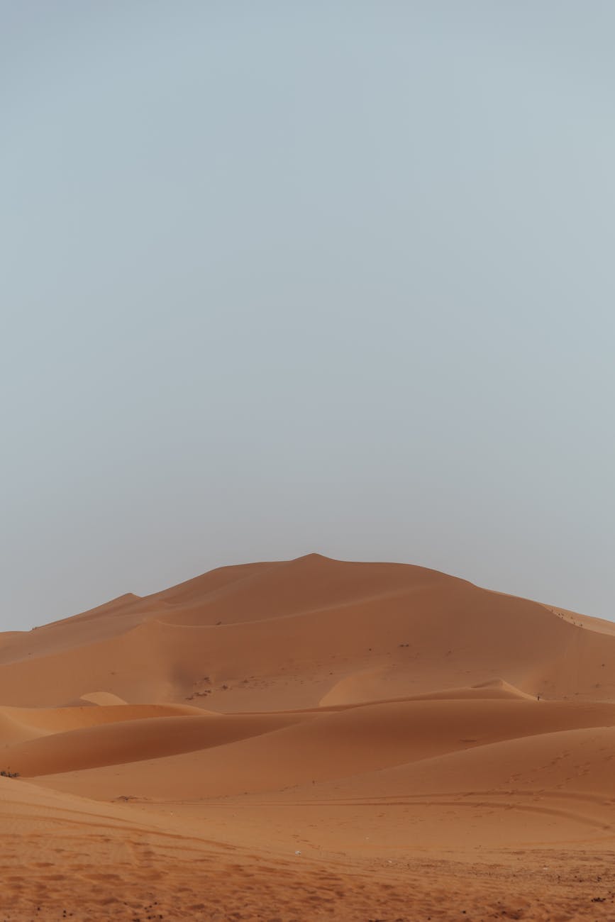 Captivating view of vast sand dunes under a clear blue sky, showcasing the beauty of the desert landscape.