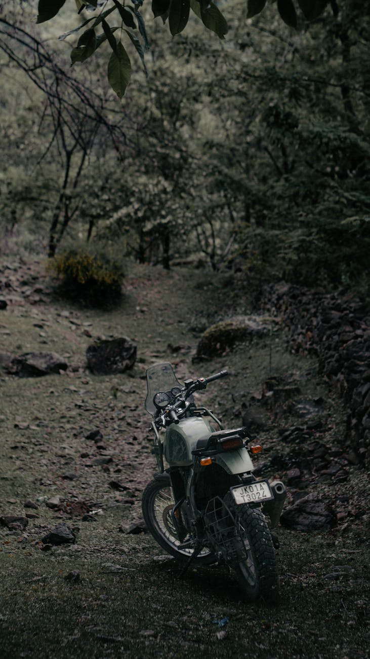 A motorcycle parked on a rugged forest path, evoking a sense of adventure.