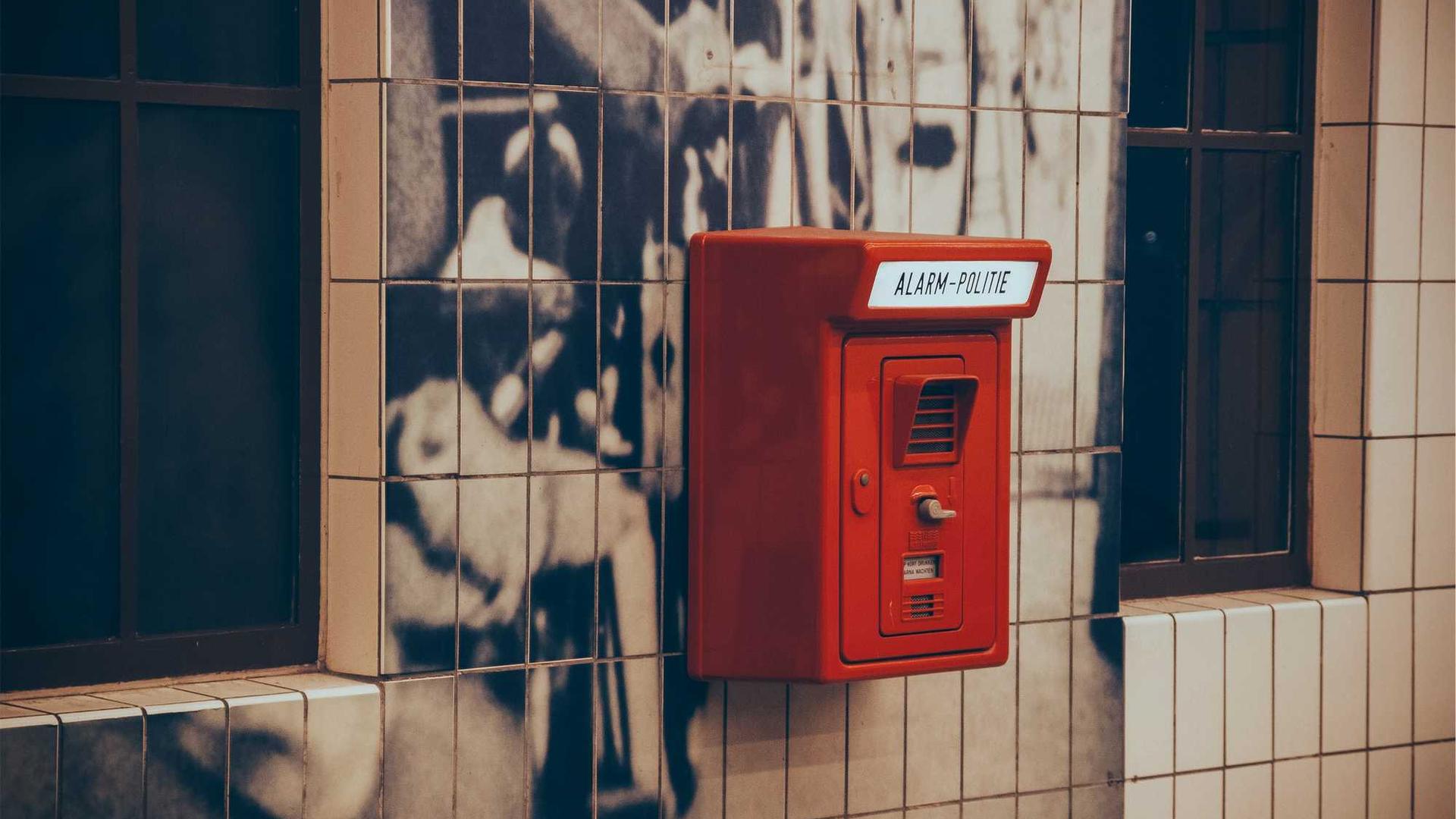 Random image from Lorem Picsum