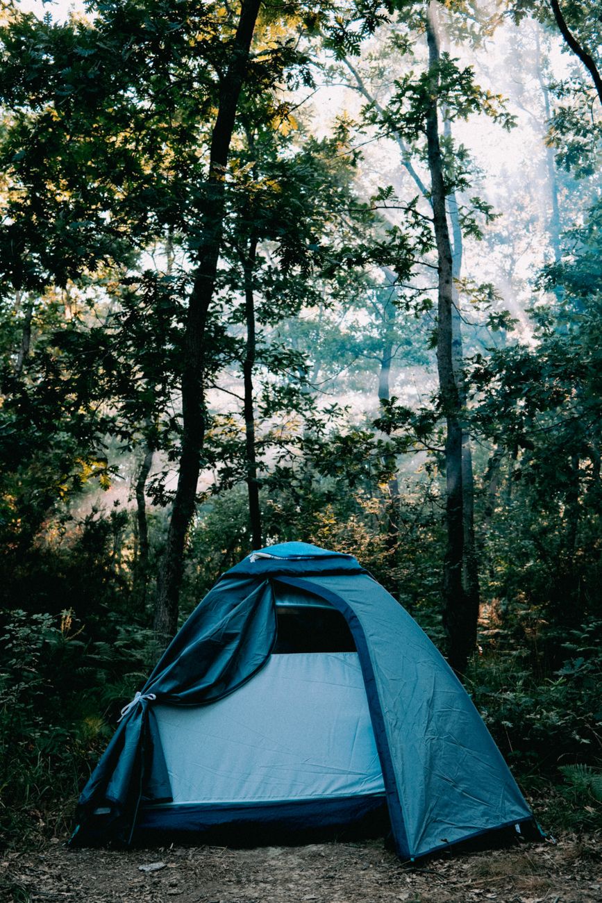 A peaceful scene of a camping tent nestled in a lush forest in Şile, İstanbul.