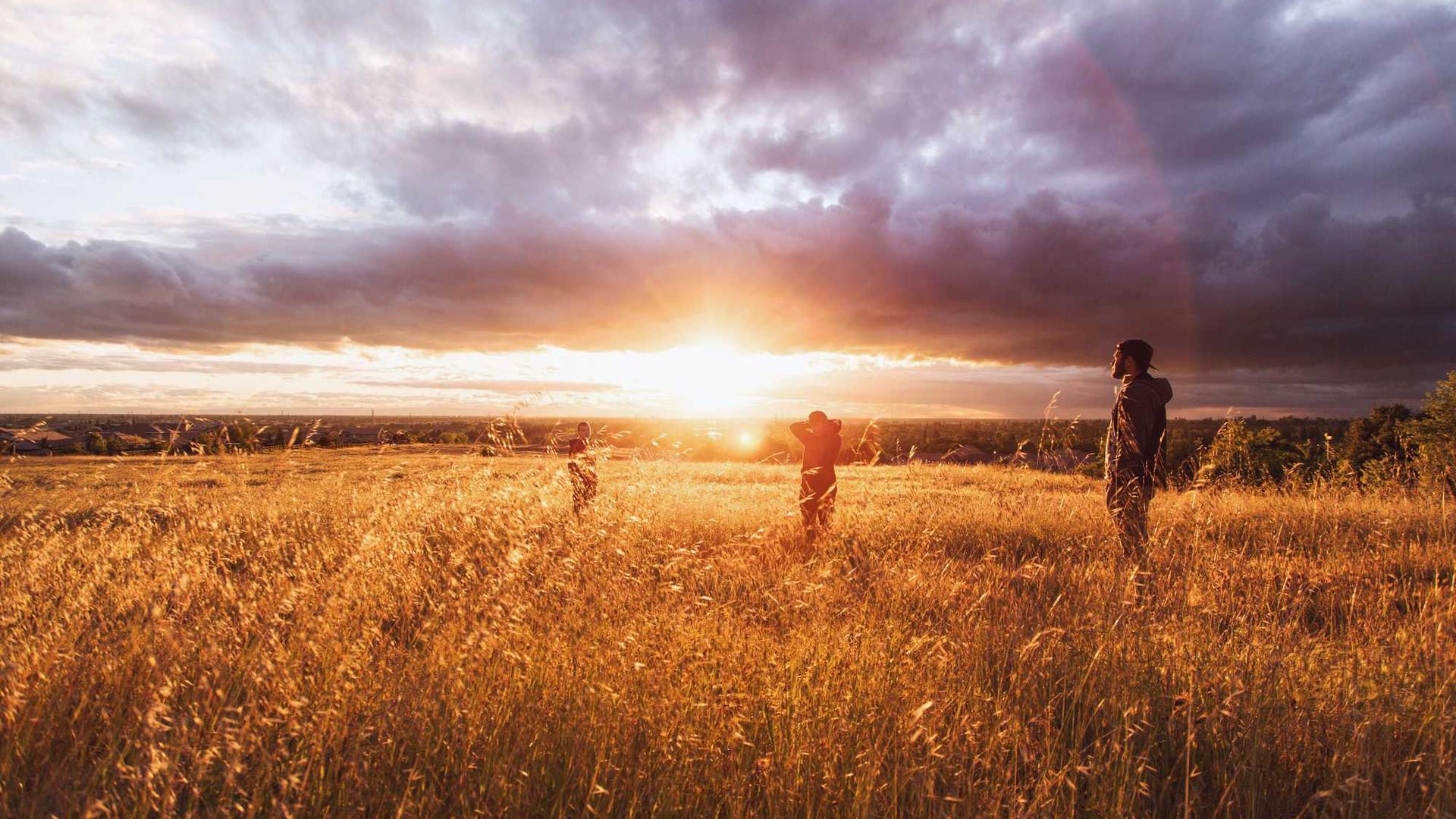 Random image from Lorem Picsum