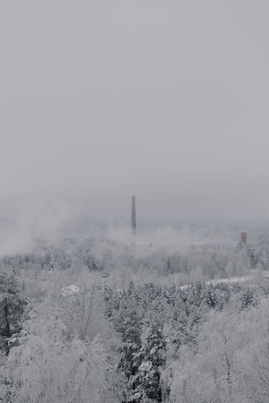 A tranquil winter scene featuring a snow-covered forest and distant chimney under overcast skies.