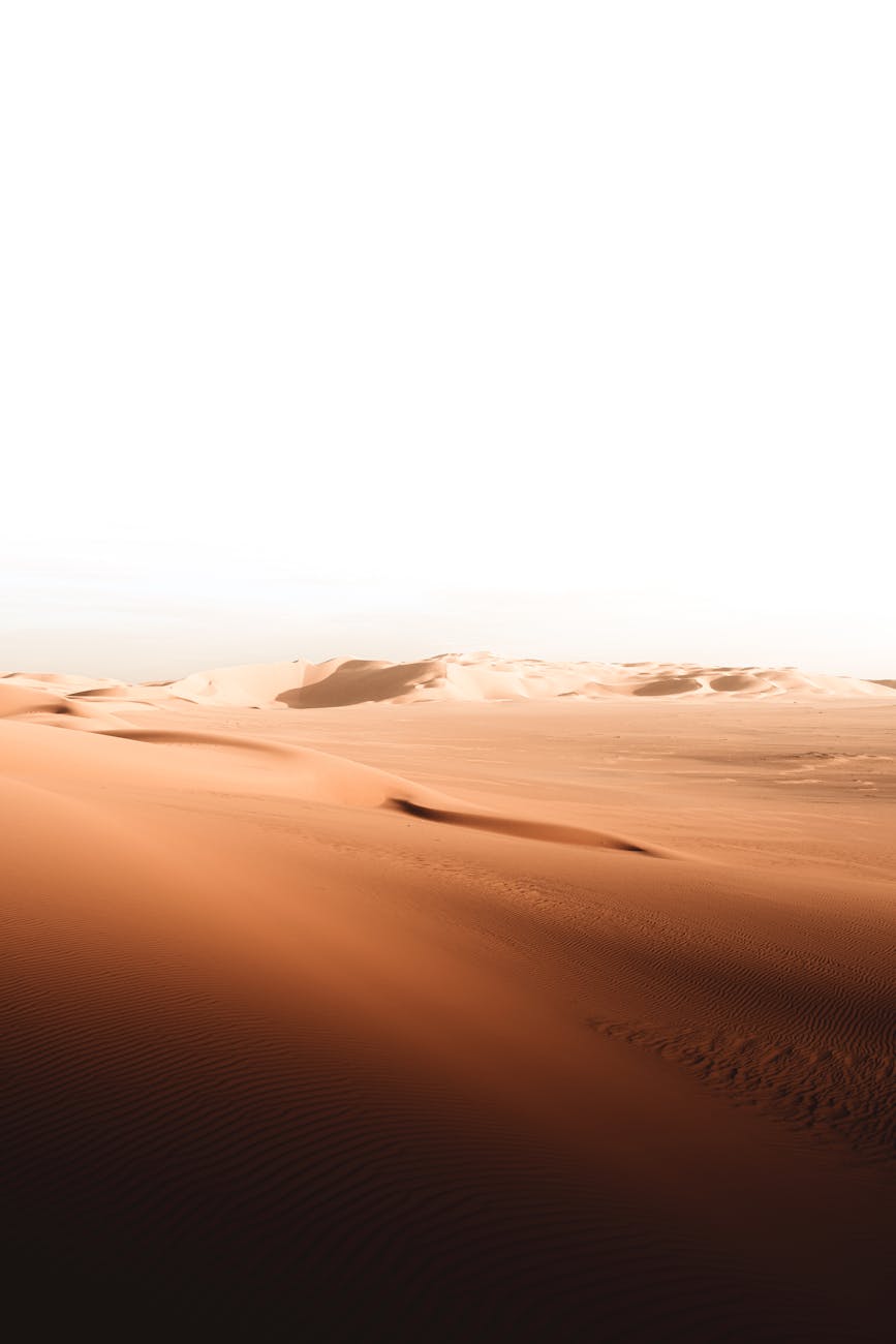 Breathtaking view of sand dunes under the bright Saharan sun in Ouargla, Algeria.