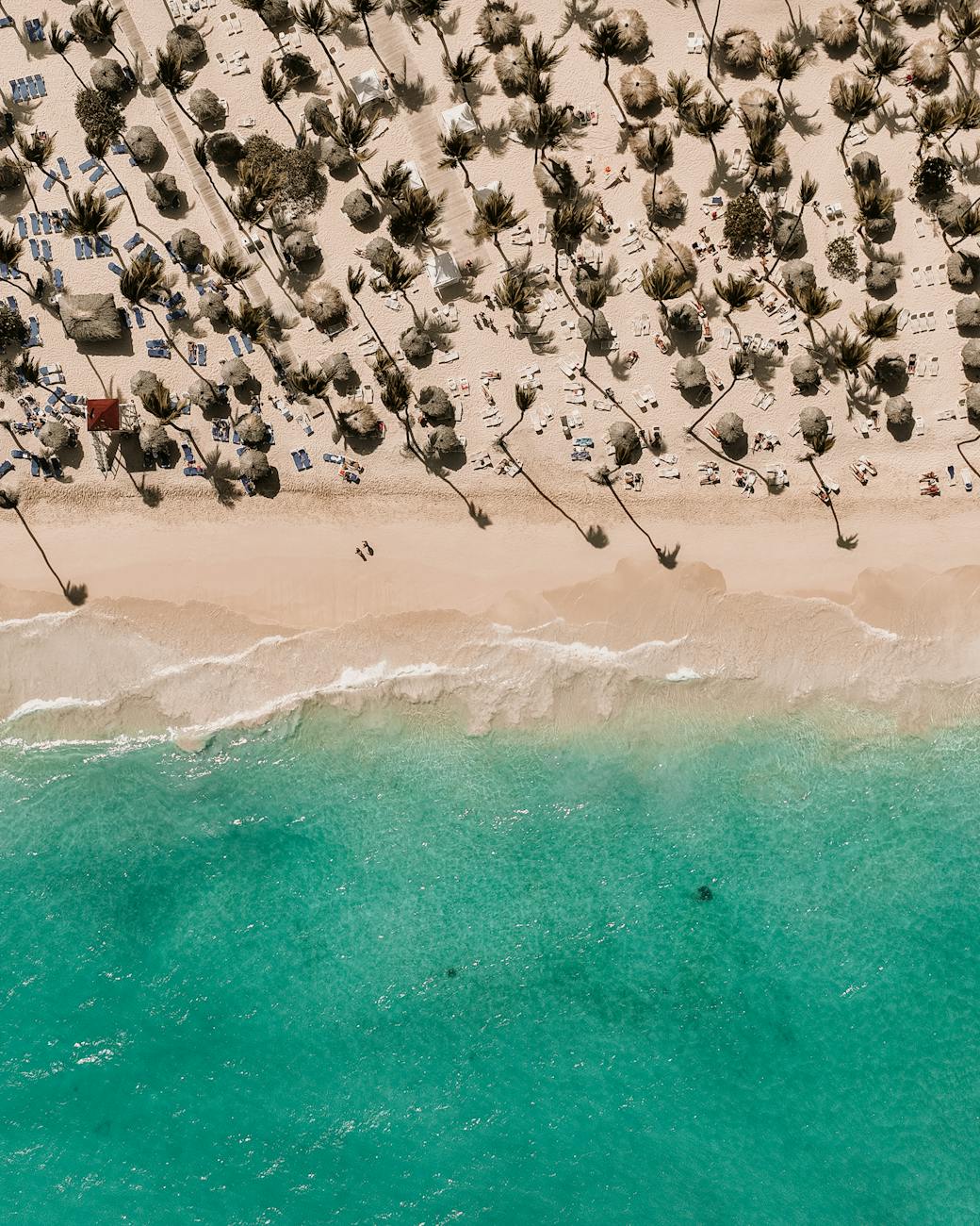 Scenic aerial view of a tropical beach with palm trees and turquoise waters, perfect for relaxation.