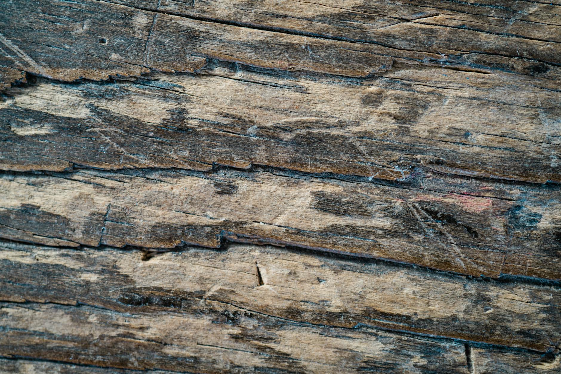 Detailed close-up of an old, weathered wooden surface with visible texture.