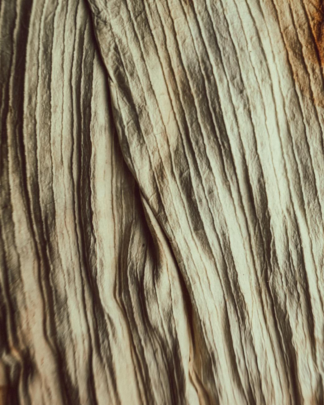 Close-up of natural wooden grooves with rich textures and earthy tones