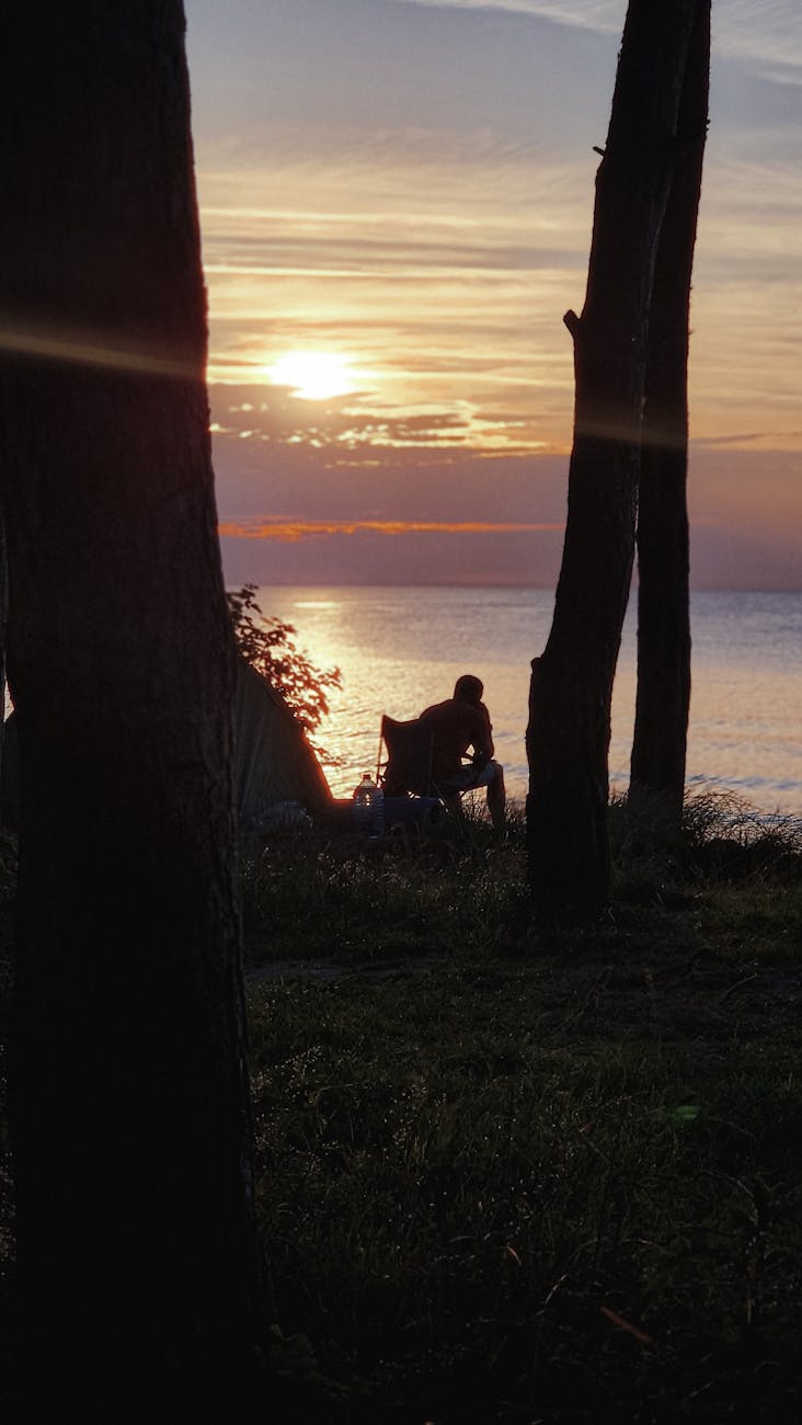 Silhouette of a person enjoying a tranquil sunset by the lakeside, surrounded by trees.