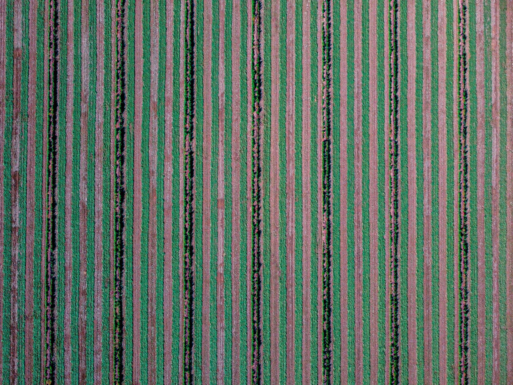 Drone shot capturing symmetrical striped fields from above.
