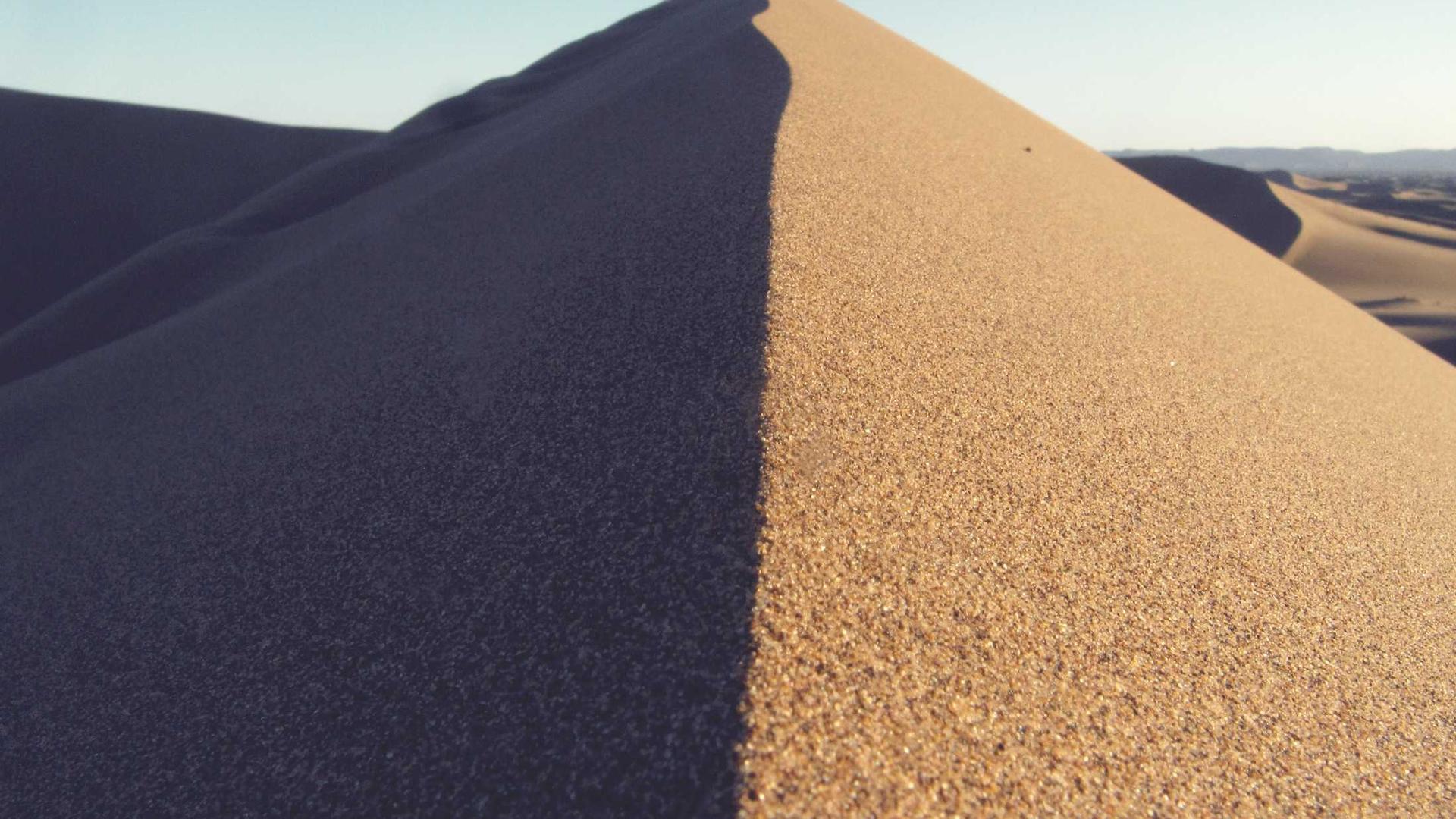 Random image from Lorem Picsum