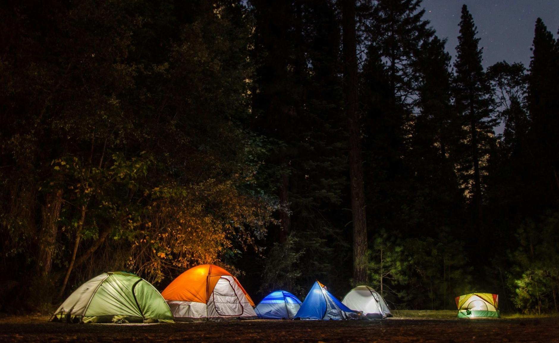 A peaceful campsite with tents illuminated under a night sky in a tranquil forest.