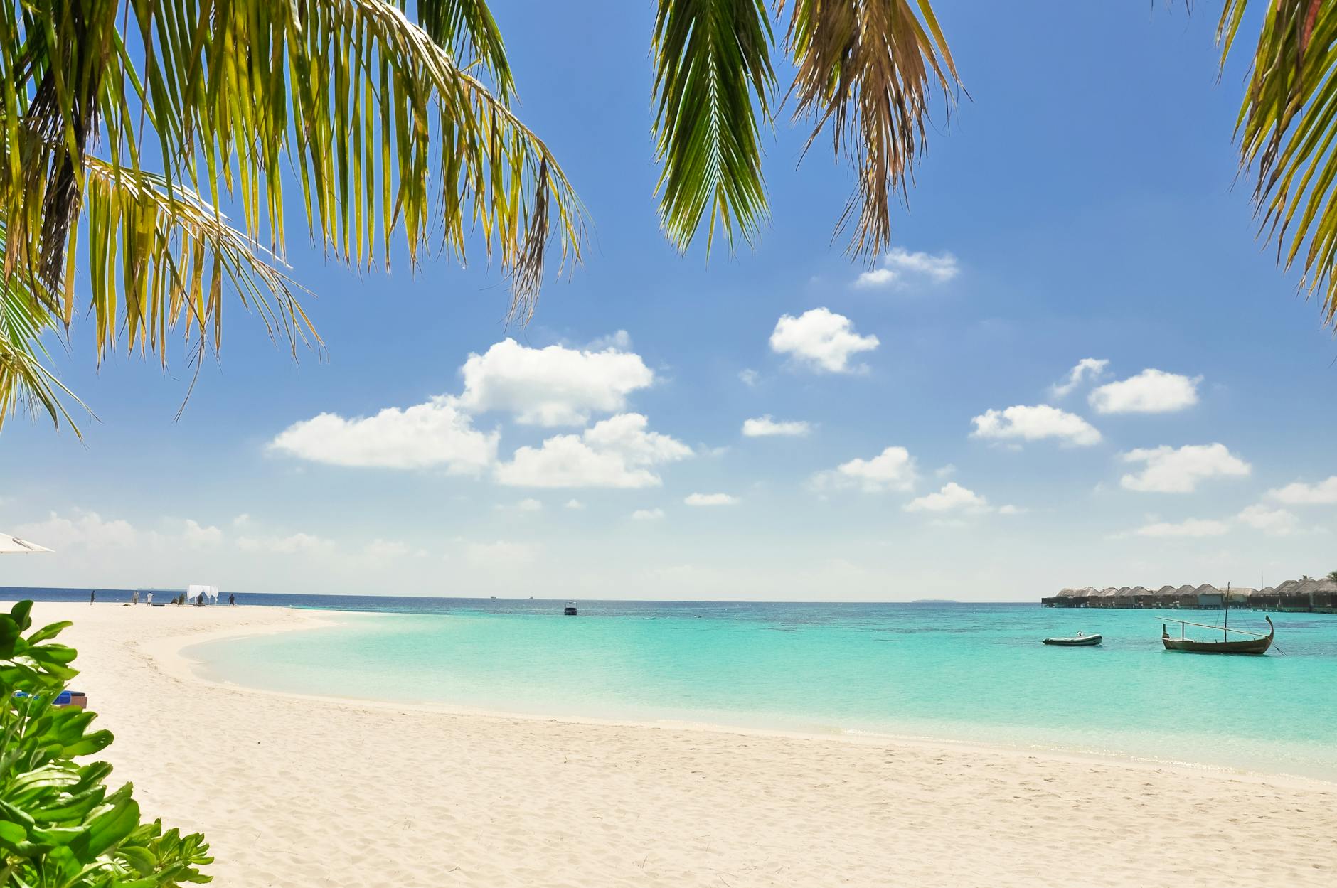 Serene beach with turquoise waters, white sand, and palm trees under a sunny sky, perfect for relaxation.