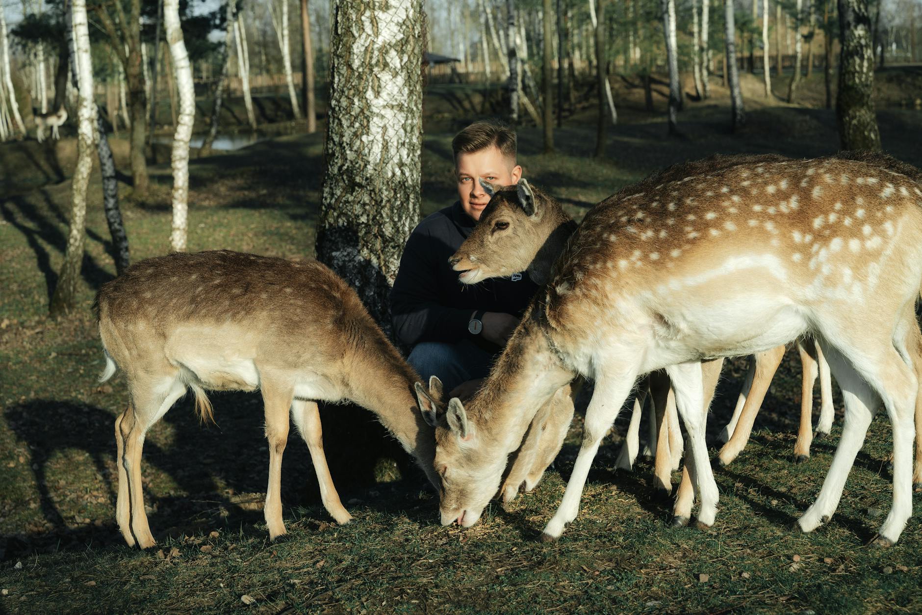 A man enjoys a peaceful moment with several friendly deer in a serene forest setting.