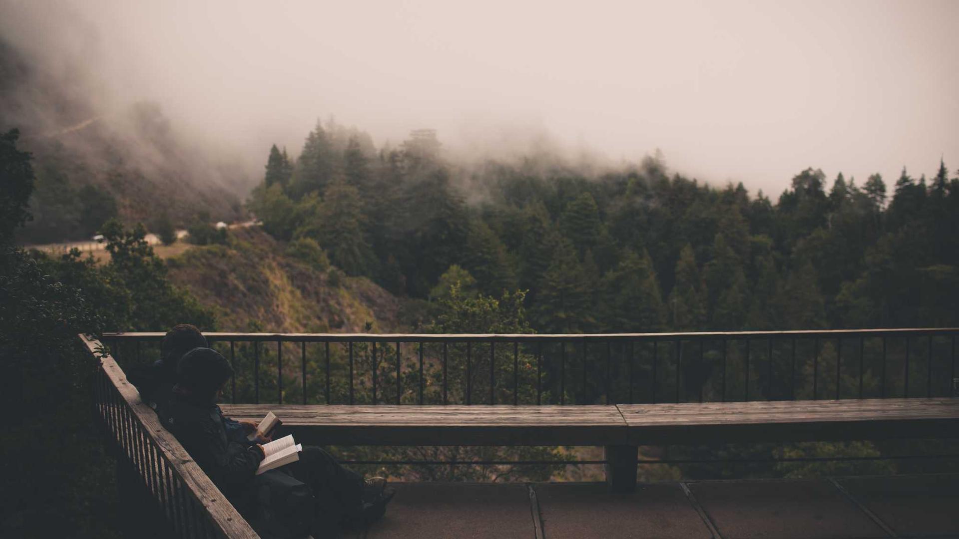 Random image from Lorem Picsum