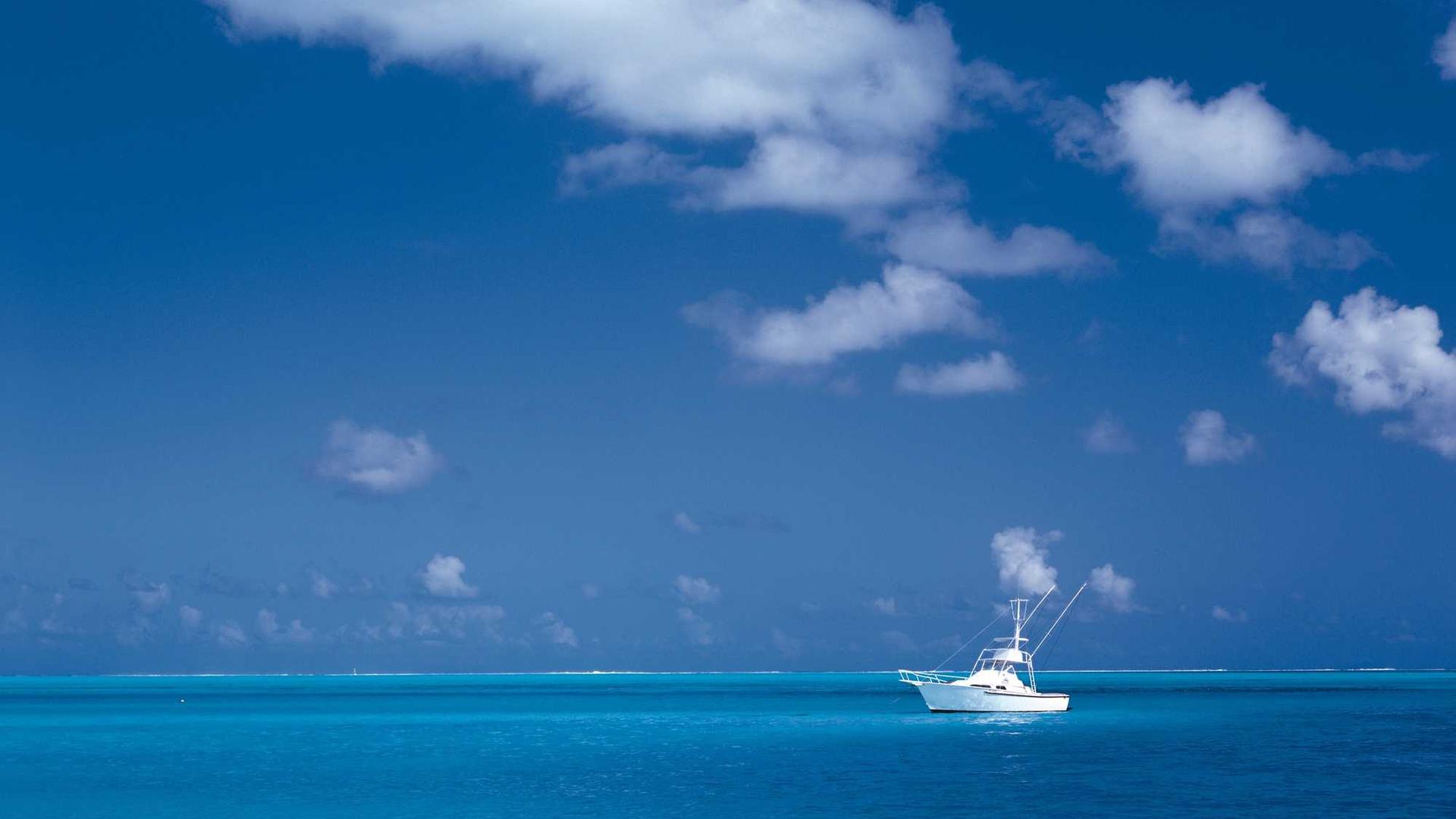 Random image from Lorem Picsum