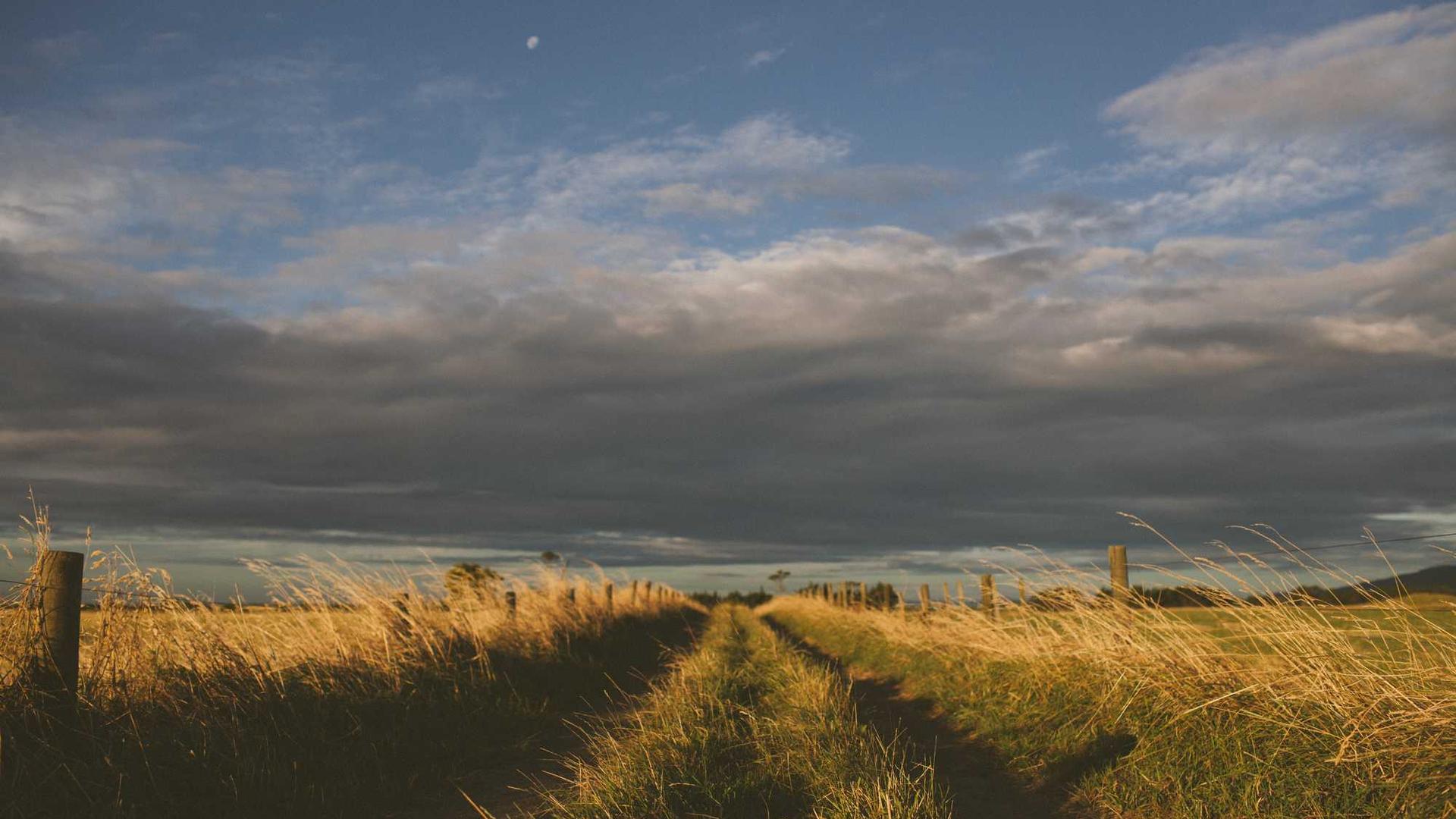 Random image from Lorem Picsum