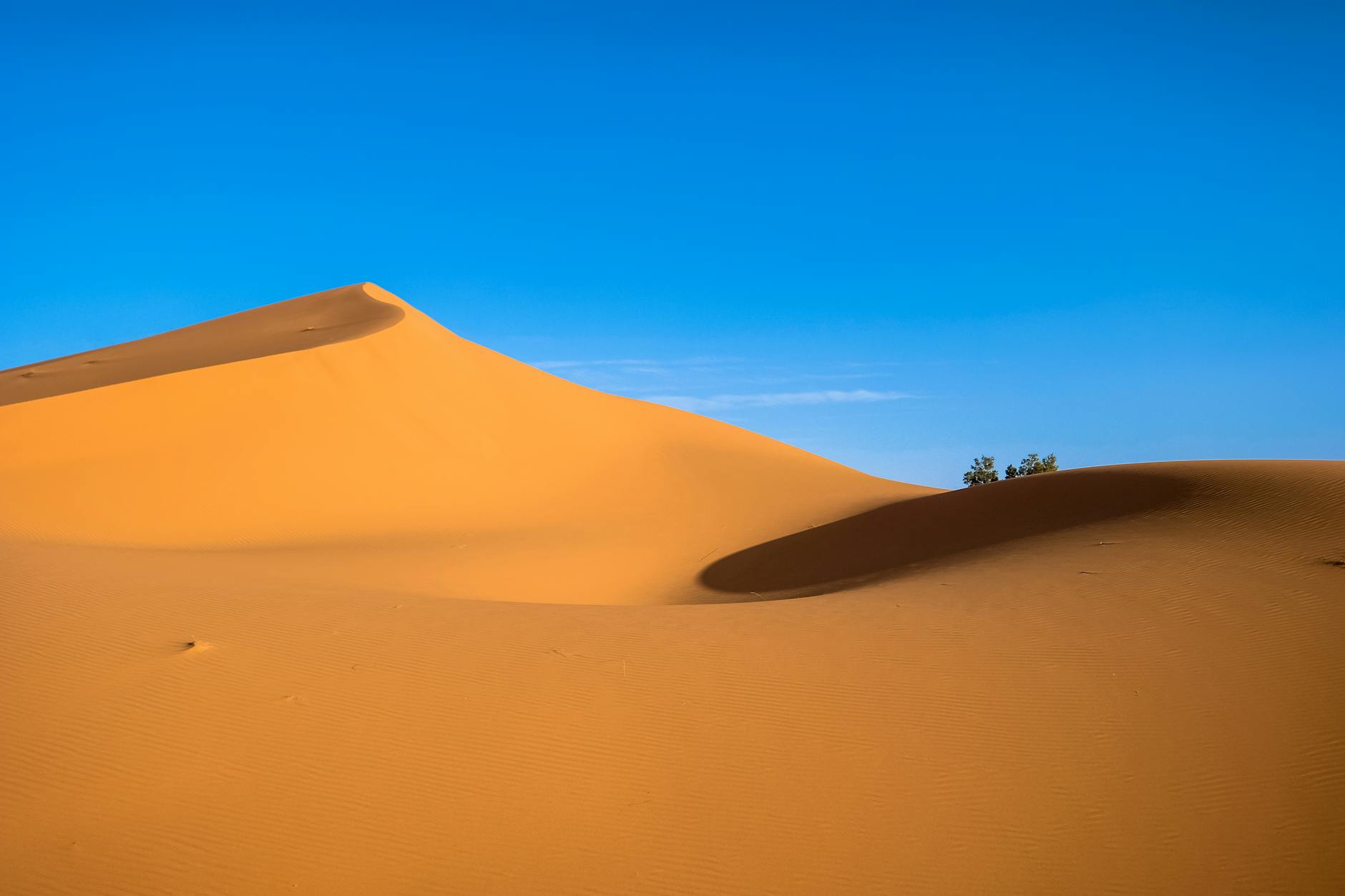 Stunning golden sand dunes with clear blue sky at Ksar Tanamouste, Morocco.