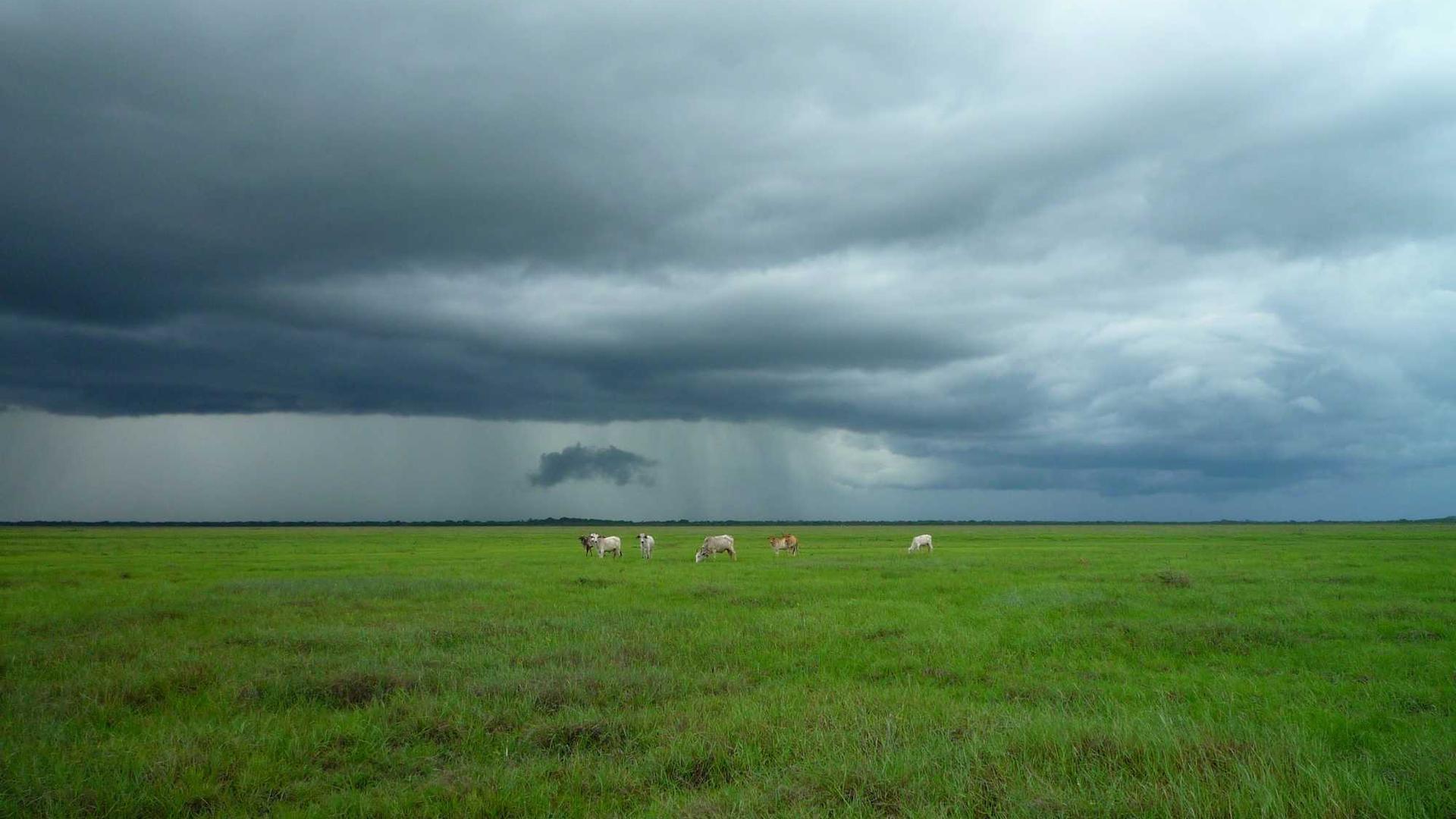 Random image from Lorem Picsum