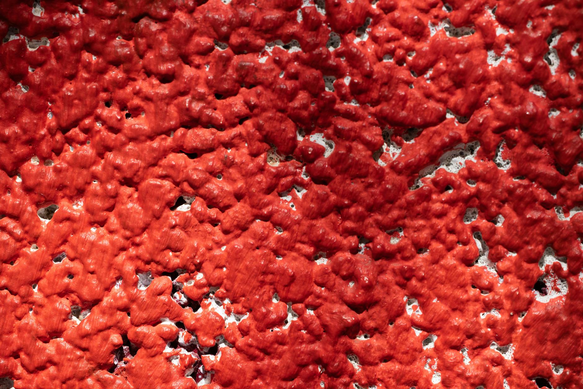 Detailed close-up of a vibrant red textured surface, ideal for backgrounds.