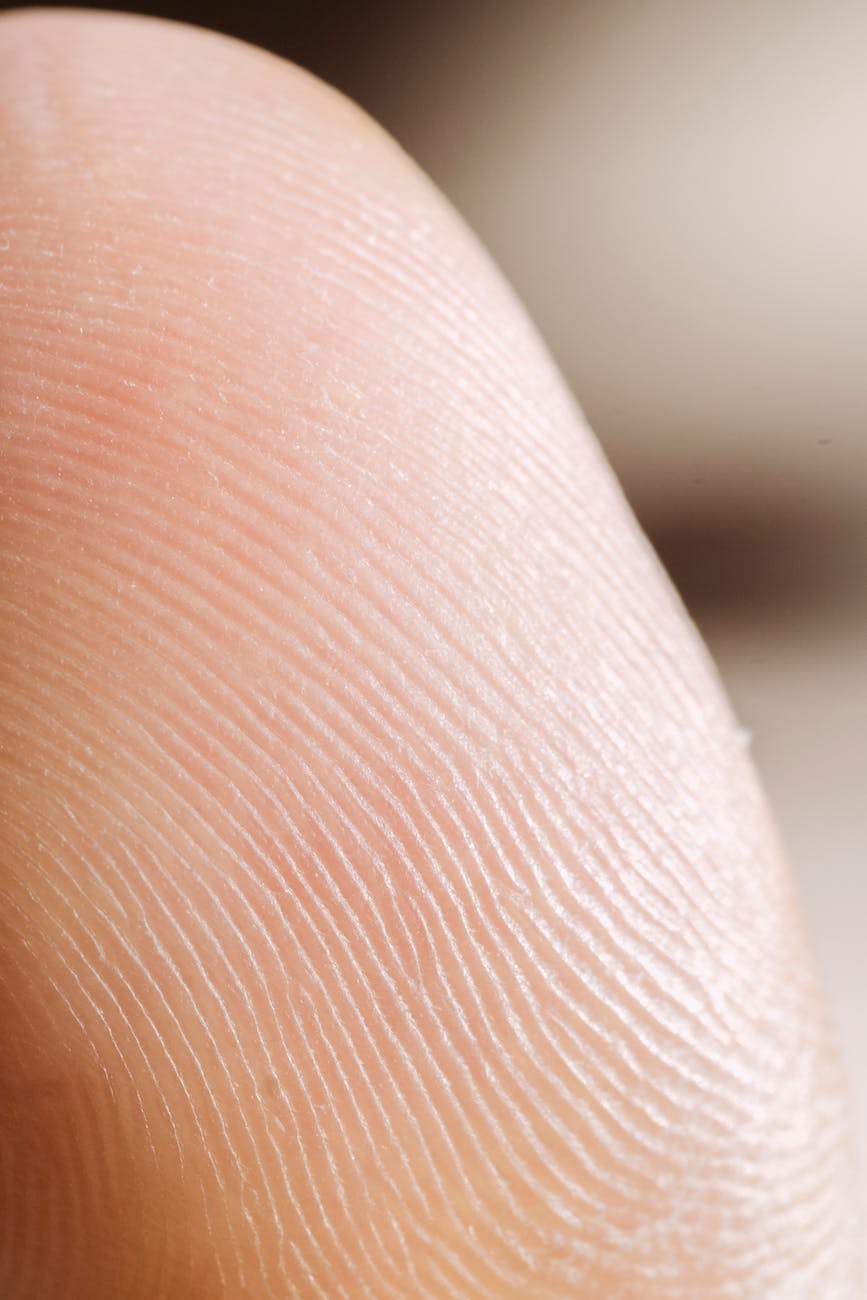 Detailed close-up image of a human finger's fingerprint pattern.