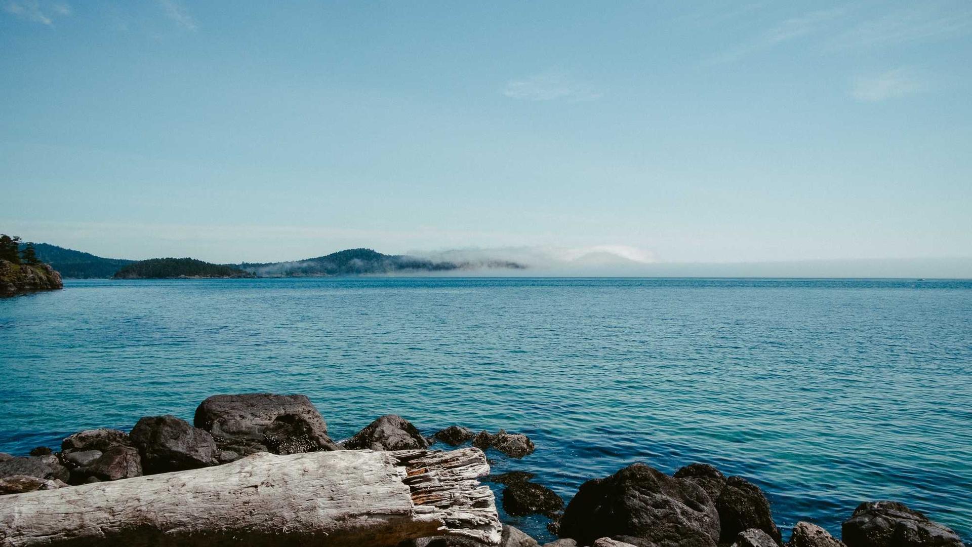 Random image from Lorem Picsum