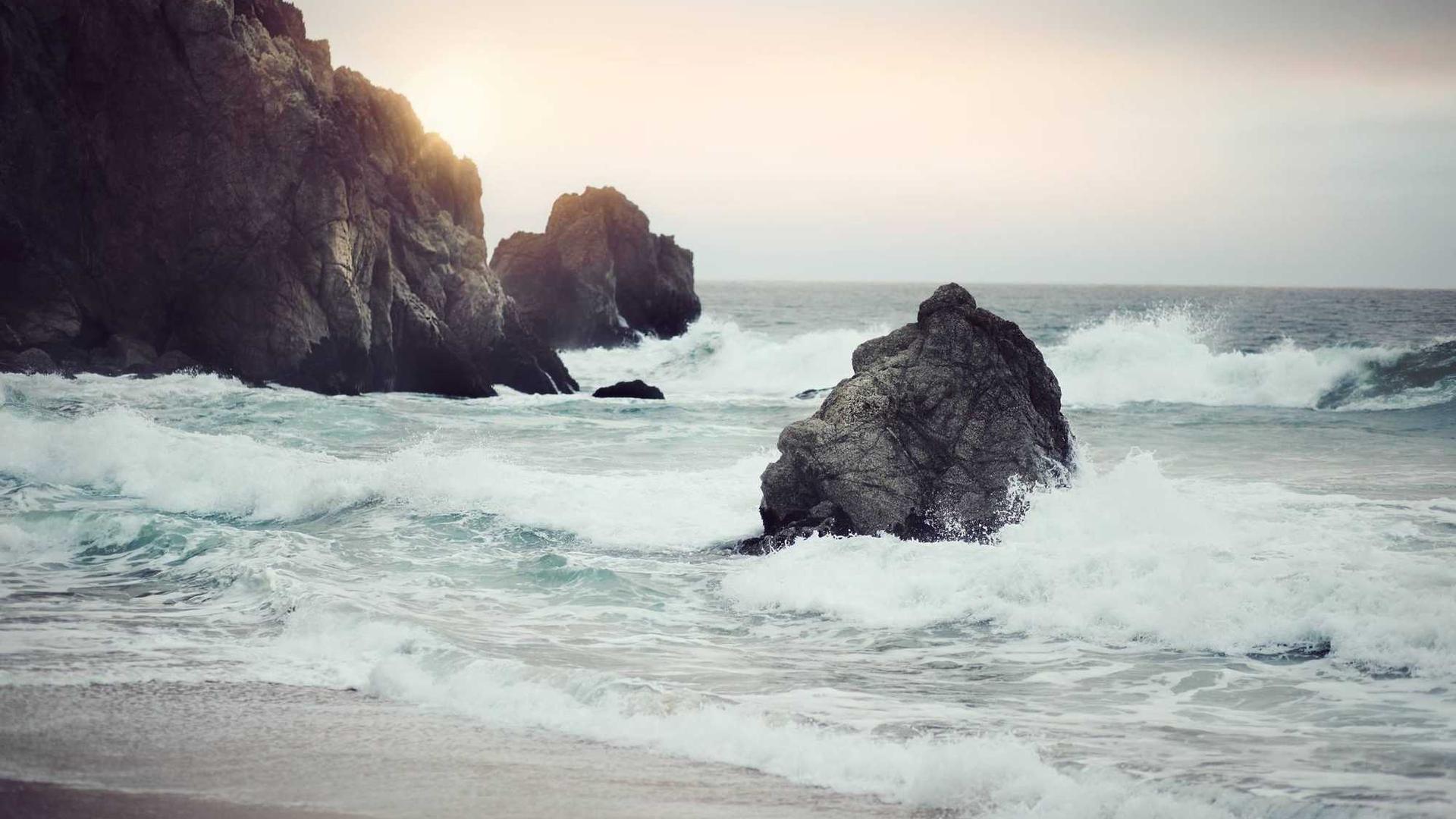 Random image from Lorem Picsum