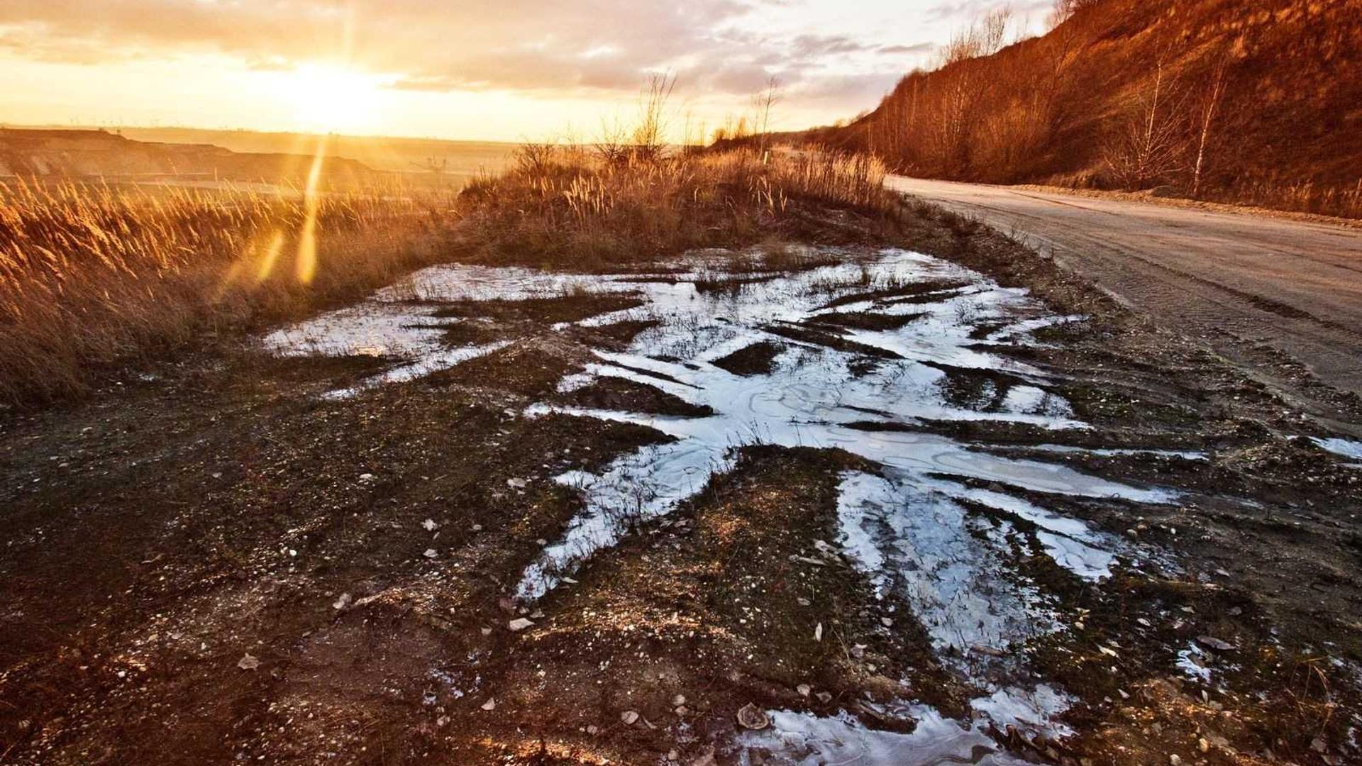 Random image from Lorem Picsum