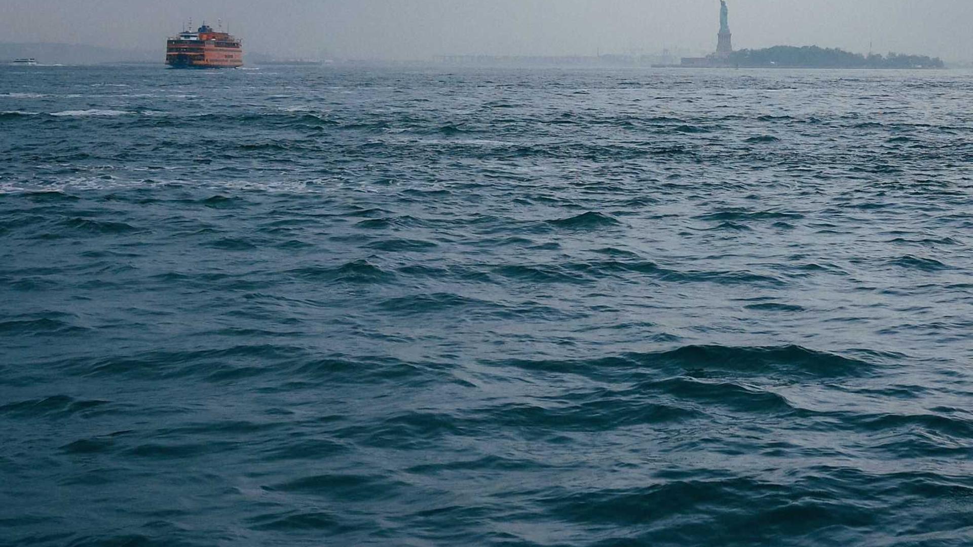 Random image from Lorem Picsum