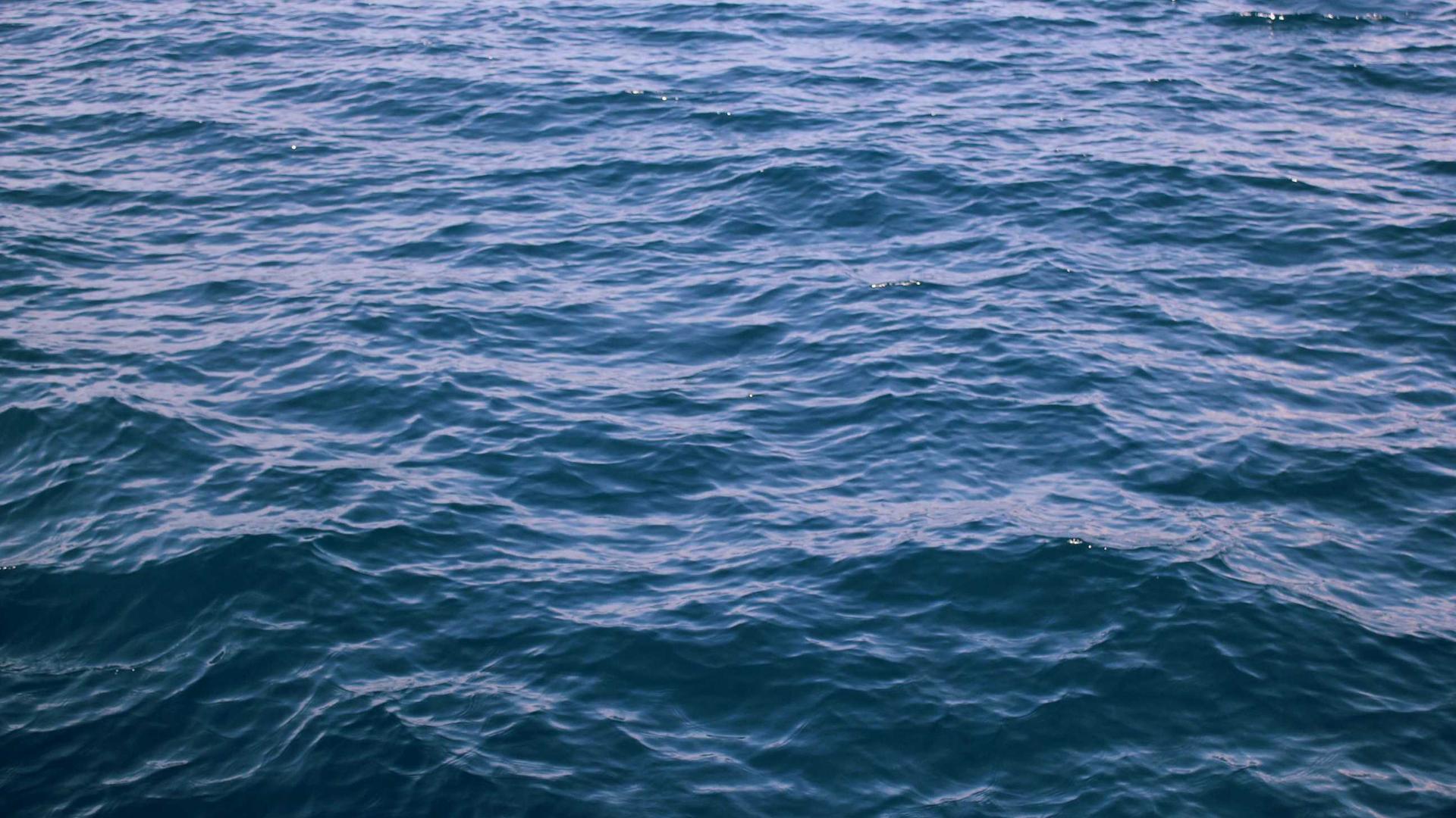 Random image from Lorem Picsum