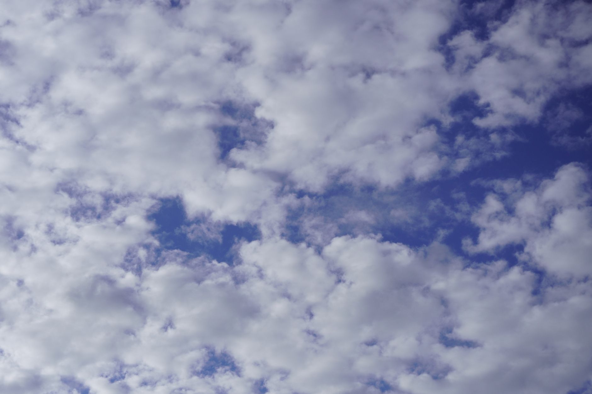 A tranquil view of white fluffy clouds scattered across a vivid blue sky.