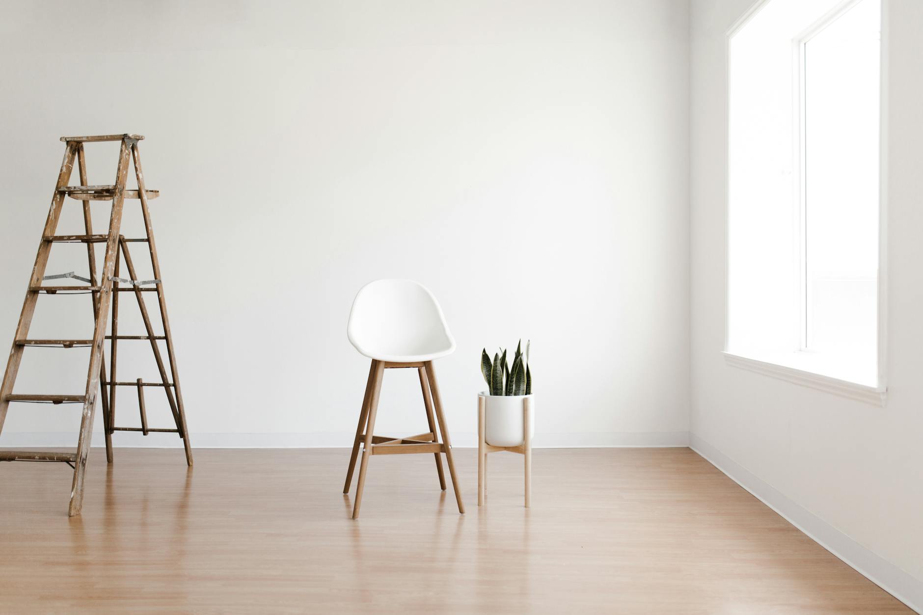 Minimalist interior featuring a white chair, wooden ladder, and snake plant by a window.
