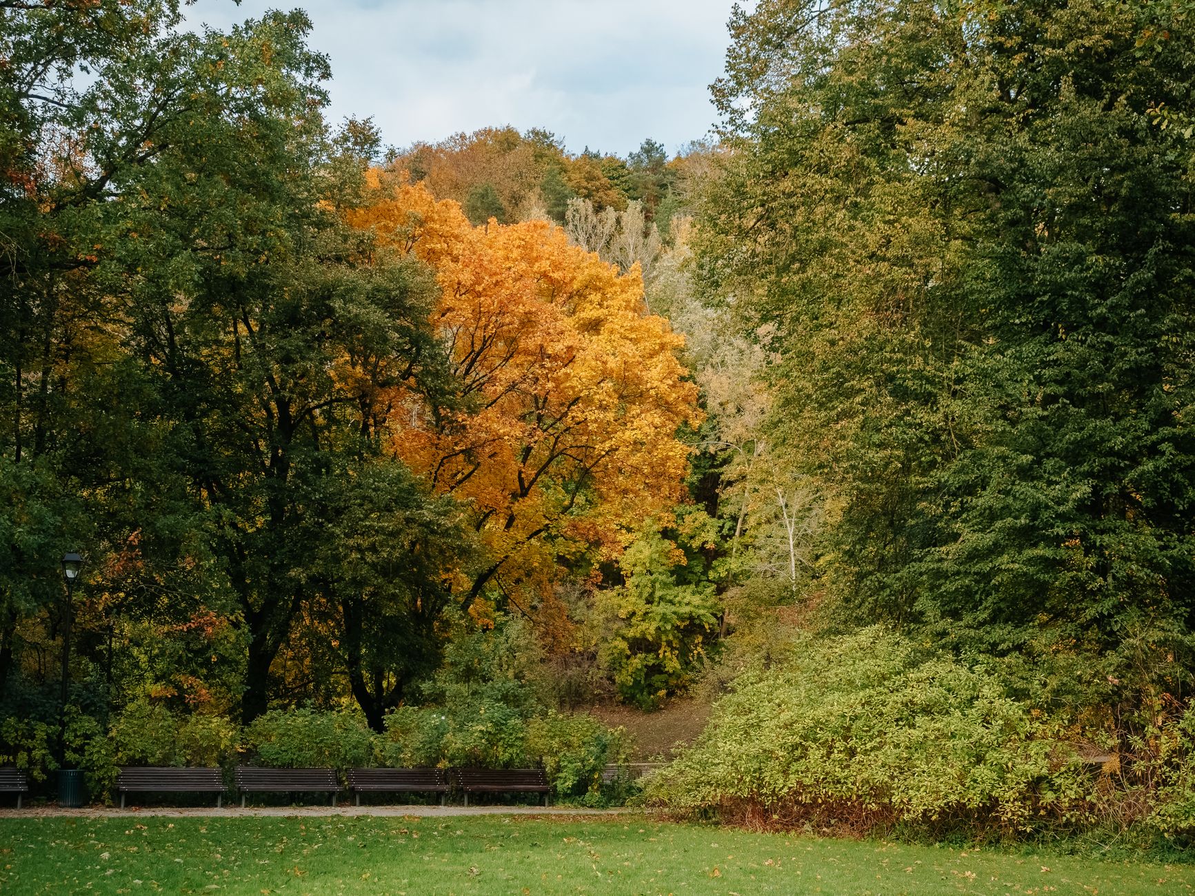 A peaceful park with vibrant autumn trees and empty benches, capturing the essence of fall.
