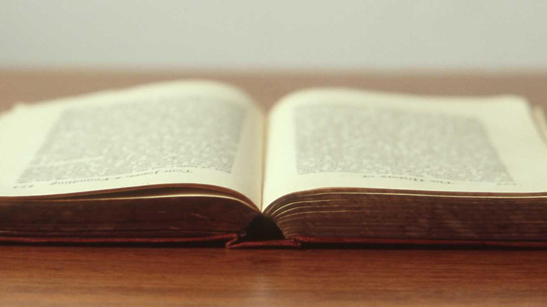 Random image from Lorem Picsum