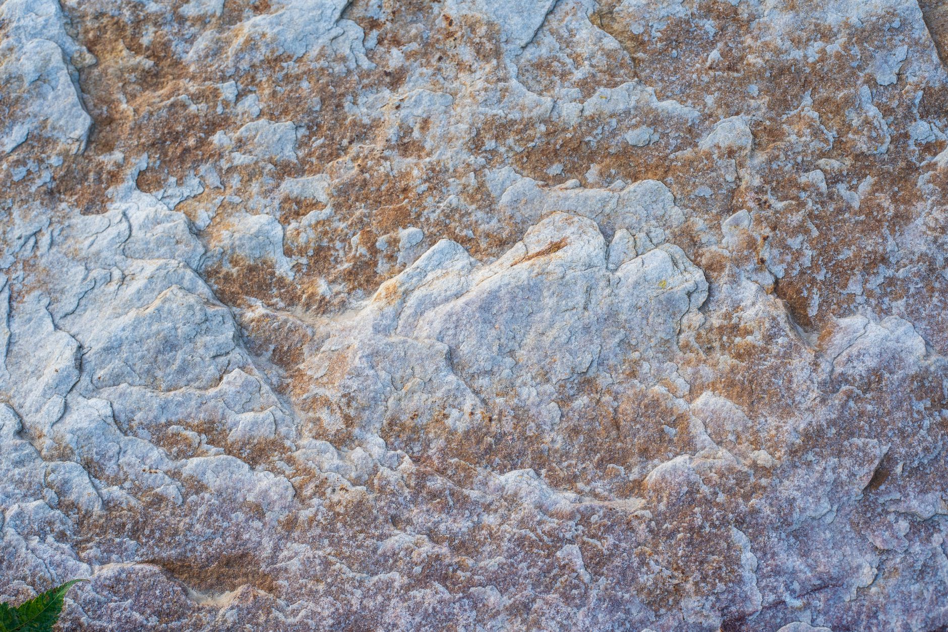 High-resolution image of a natural stone surface showcasing intricate texture and earthy tones.