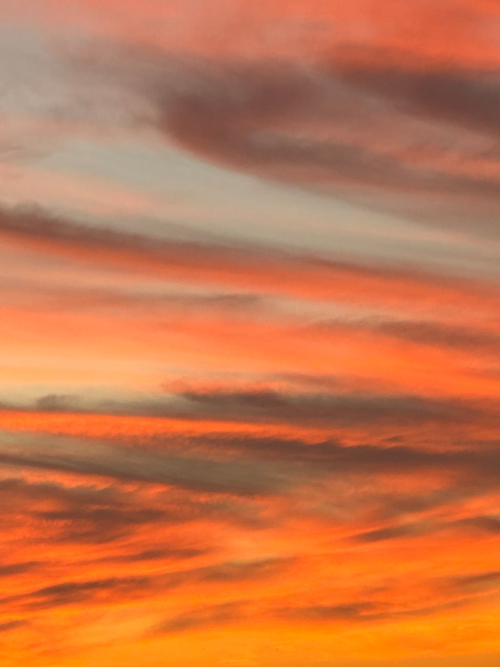 A stunning display of orange and pink clouds during a sunset, offering a breathtaking natural view.