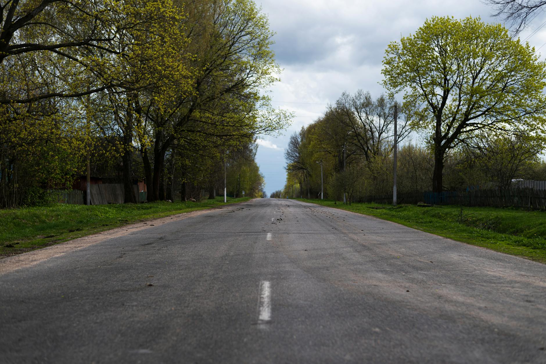 A long, empty road bordered by lush trees in a peaceful spring countryside setting.