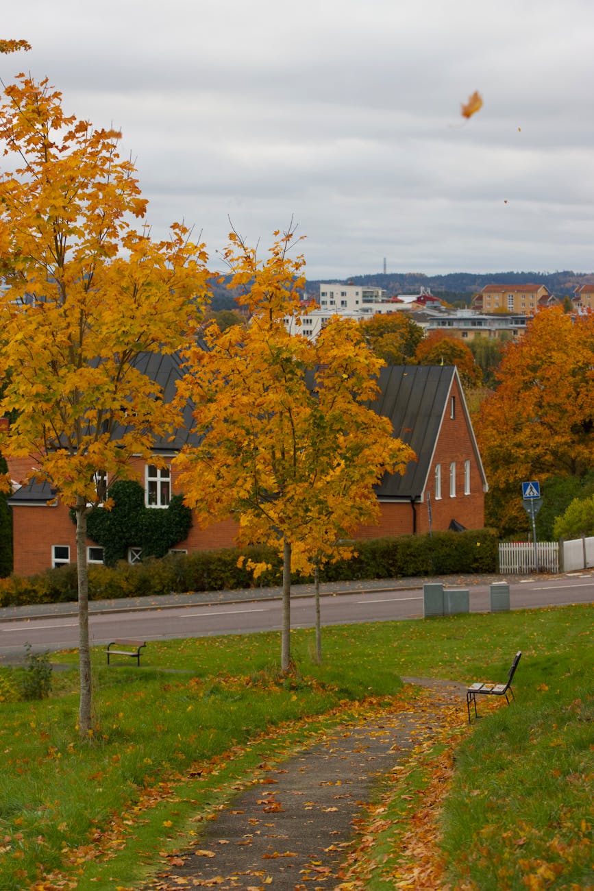 Beautiful autumn landscape in Jönköping, Sweden with vibrant fall foliage and scenic countryside views.
