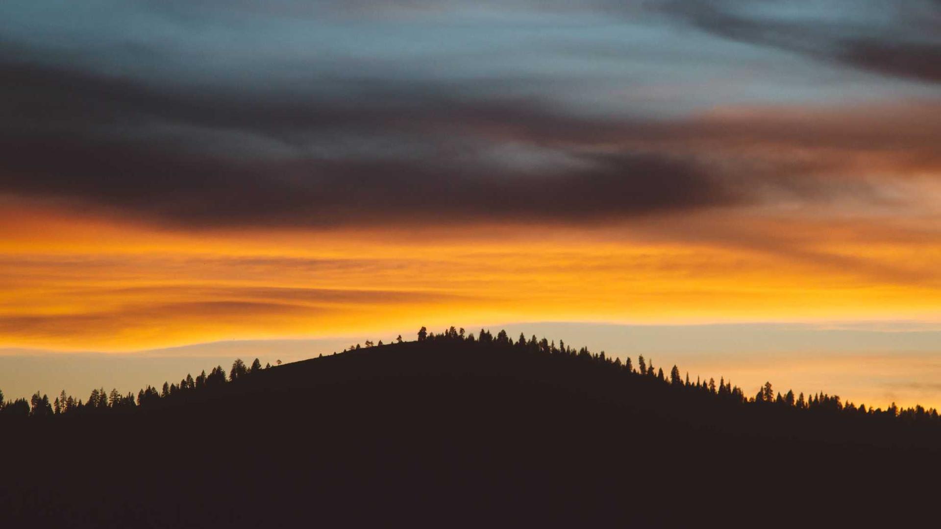 Random image from Lorem Picsum