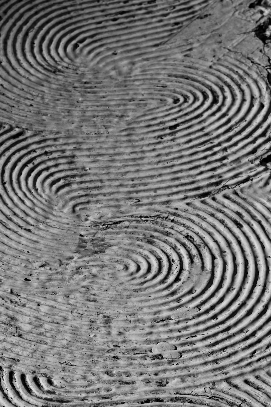 Close-up view of spiraled lines creating a hypnotic texture.