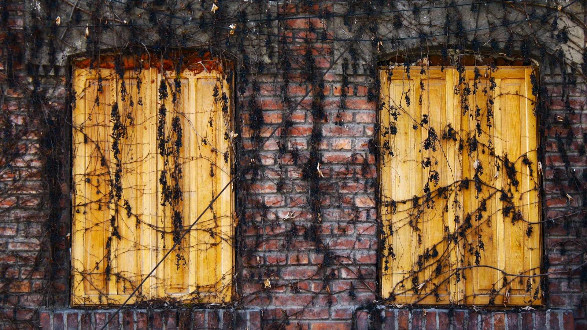 Random image from Lorem Picsum