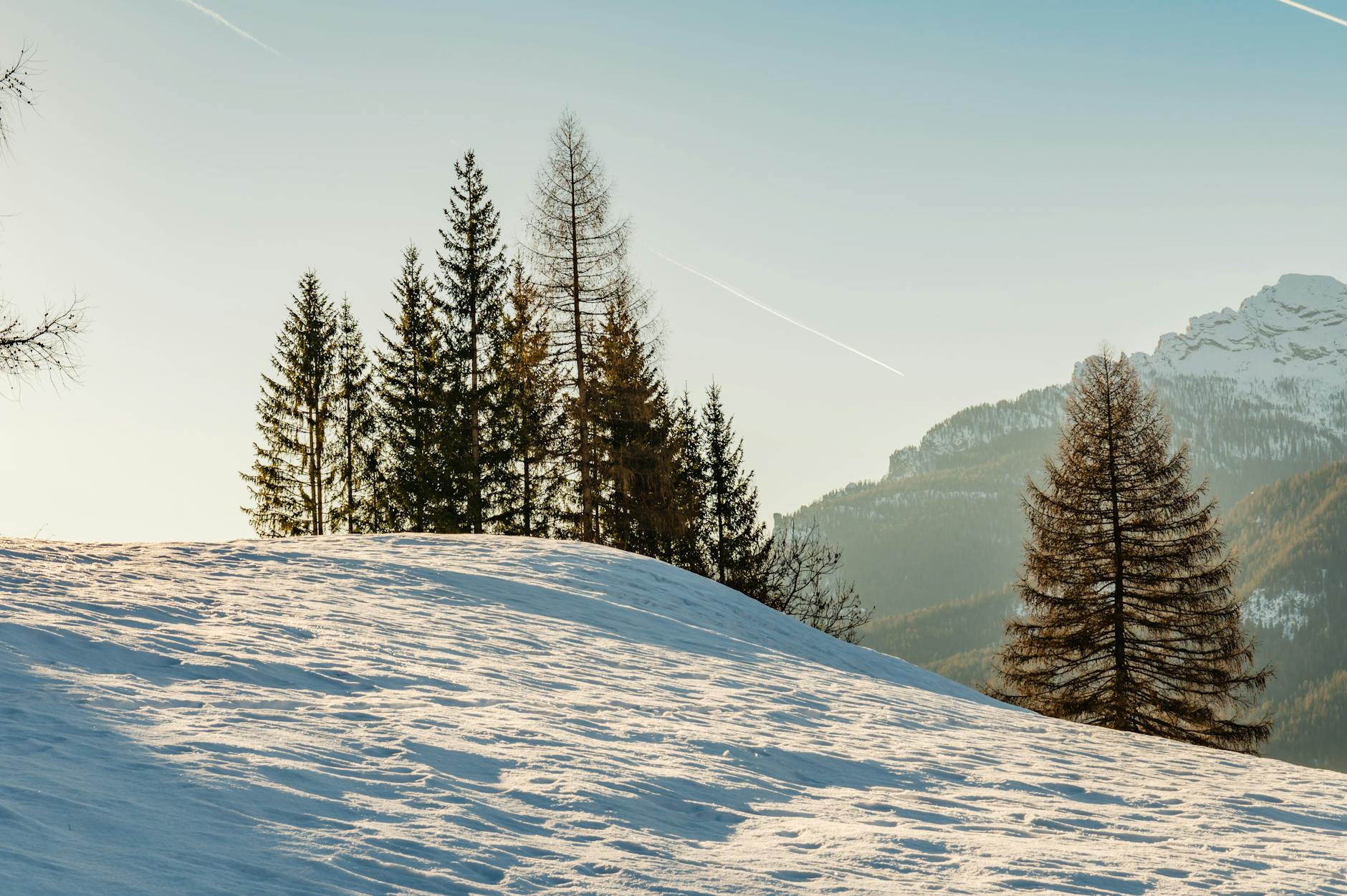 Scenic winter view of snow-covered trees and distant mountains in Cortina d'Ampezzo, Italy.