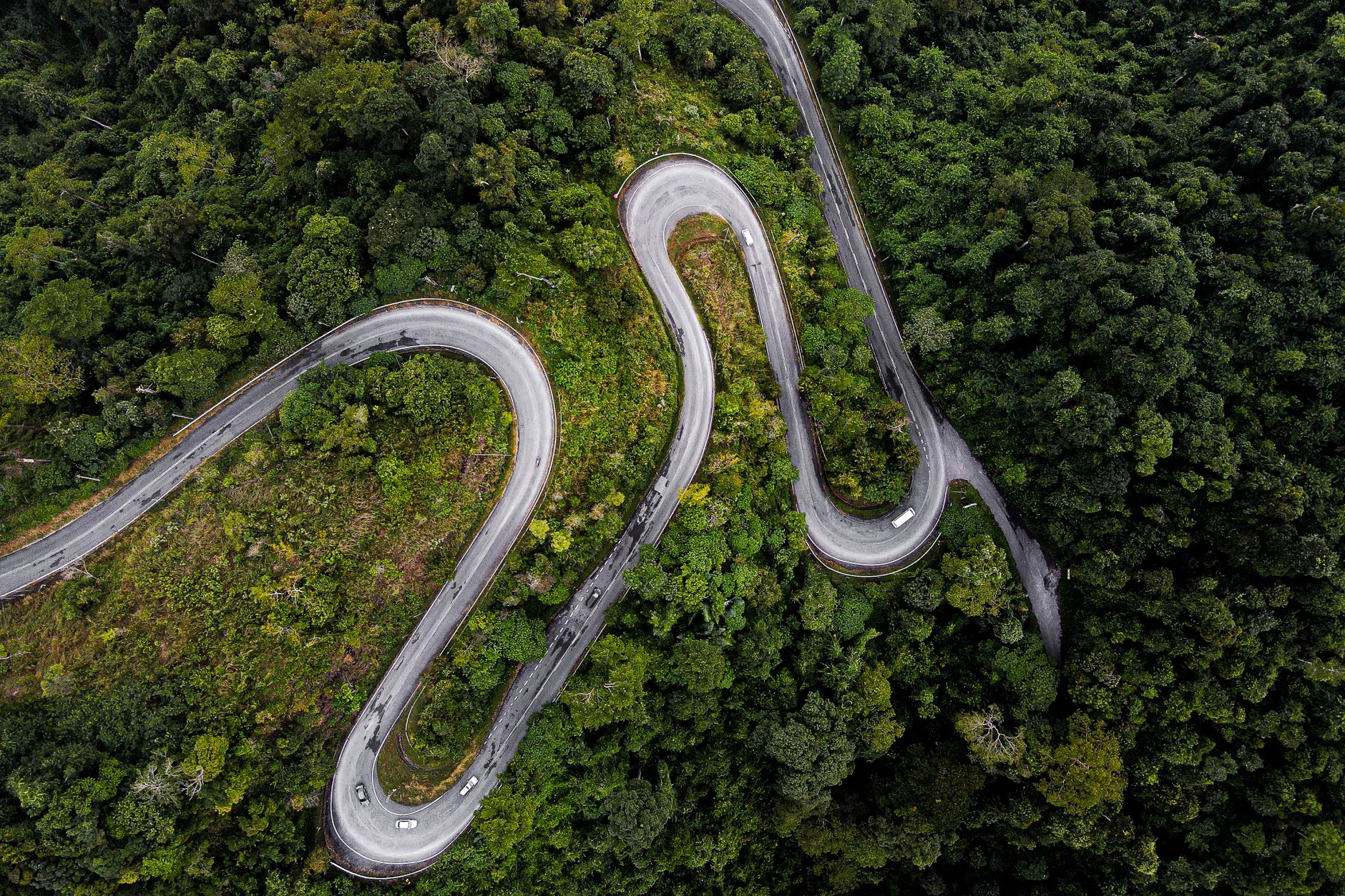Aerial shot of a winding road cutting through dense green forest.