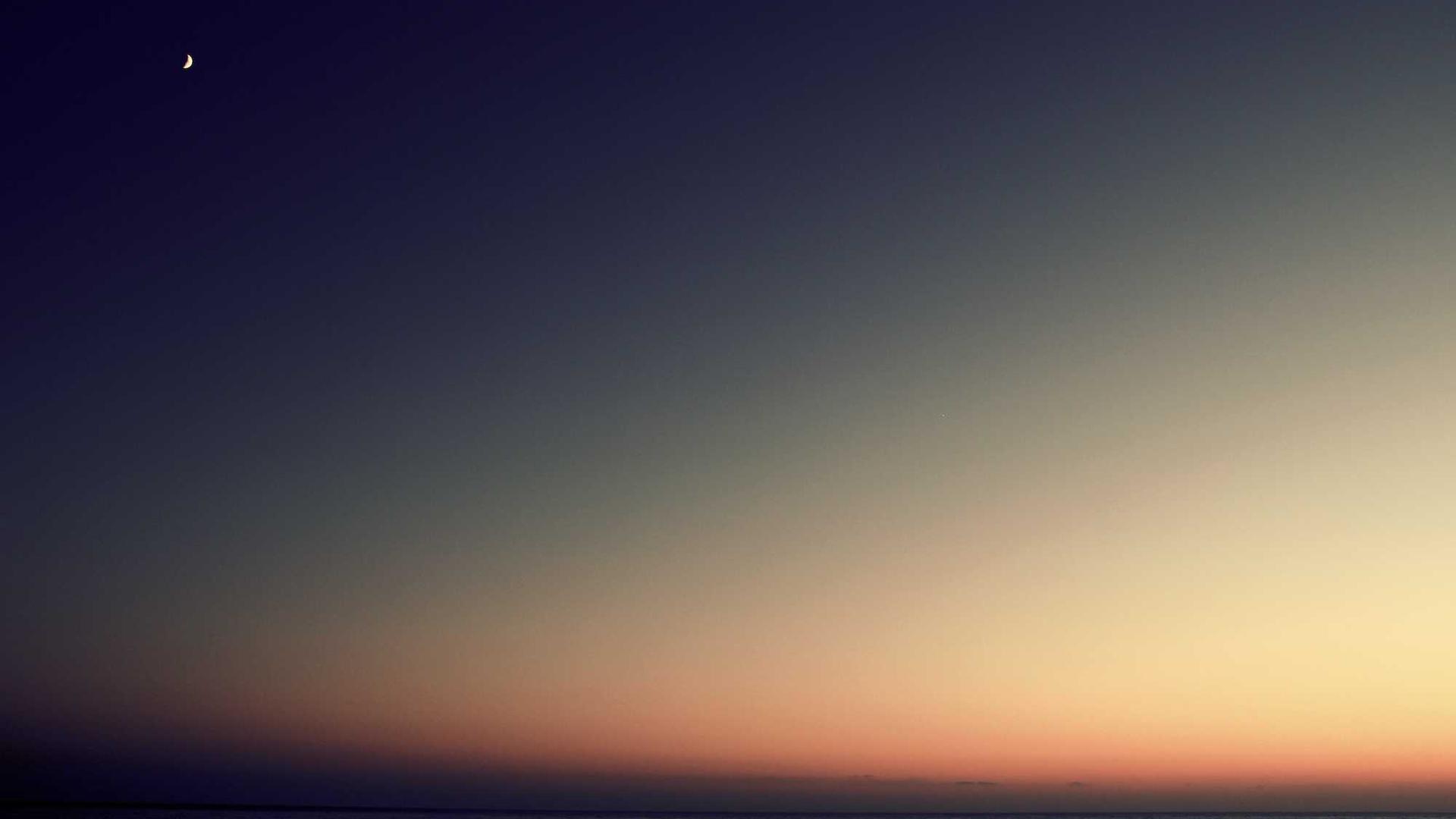 Random image from Lorem Picsum