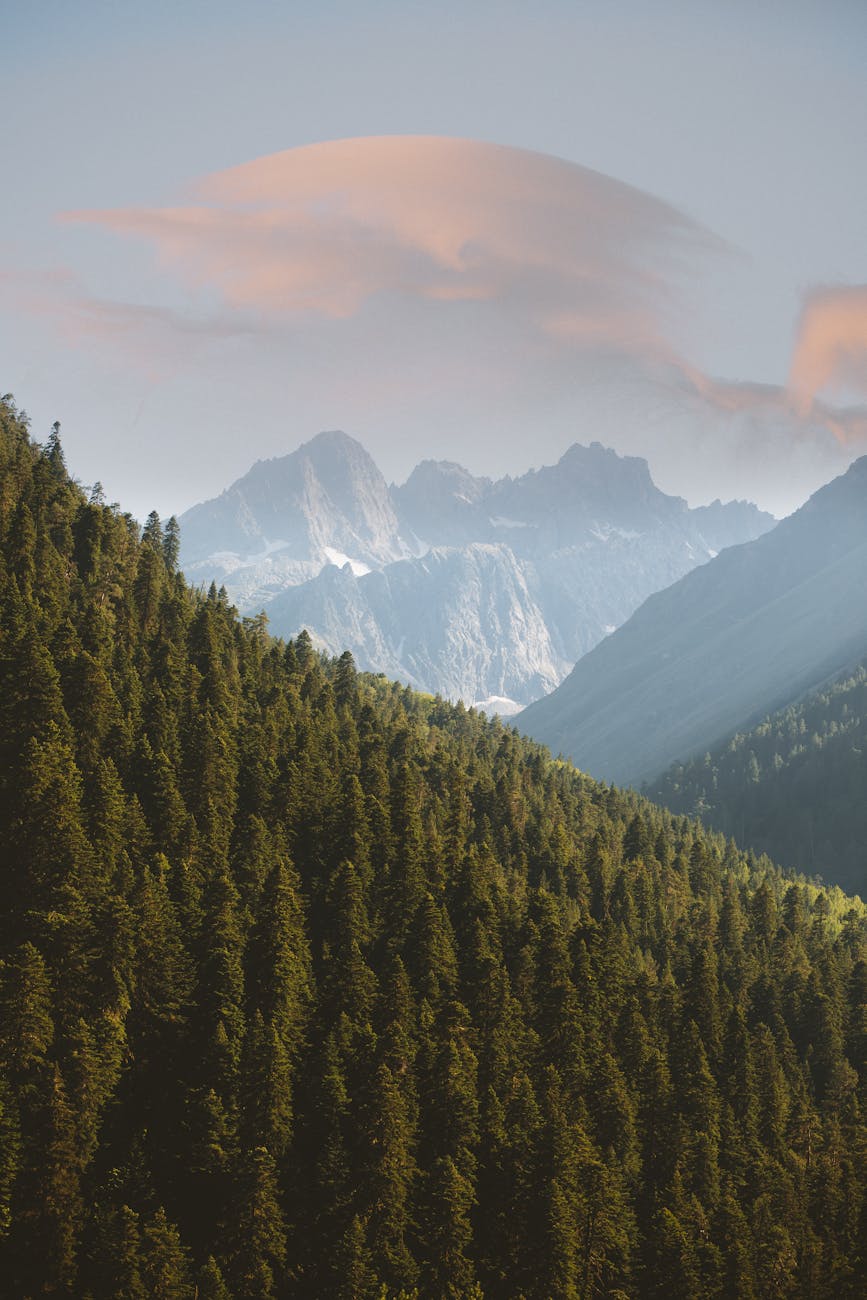 Stunning landscape of the evergreen forest and mountains in Teberda, Russia.