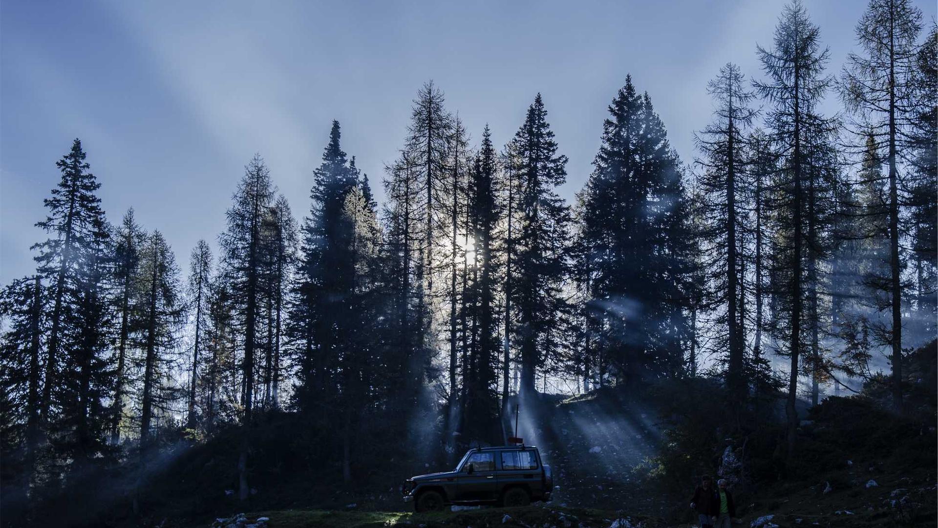 Random image from Lorem Picsum