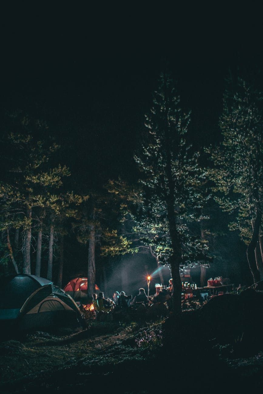 A serene camping scene at night with tents and campfire lit among tall trees in the forest.