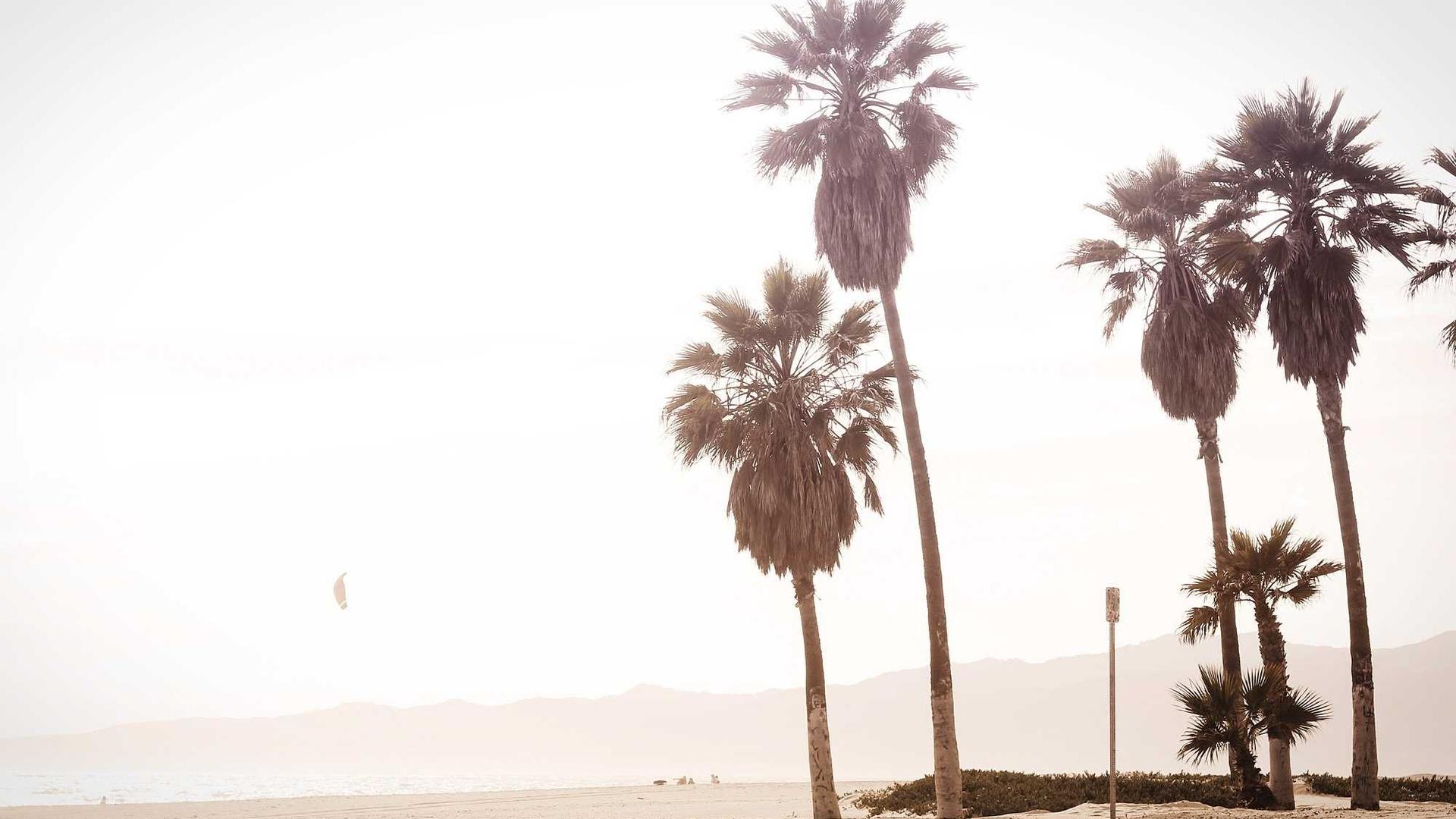 Random image from Lorem Picsum